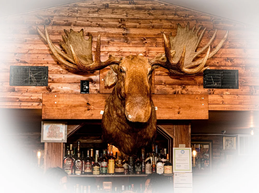 Bar photo 3