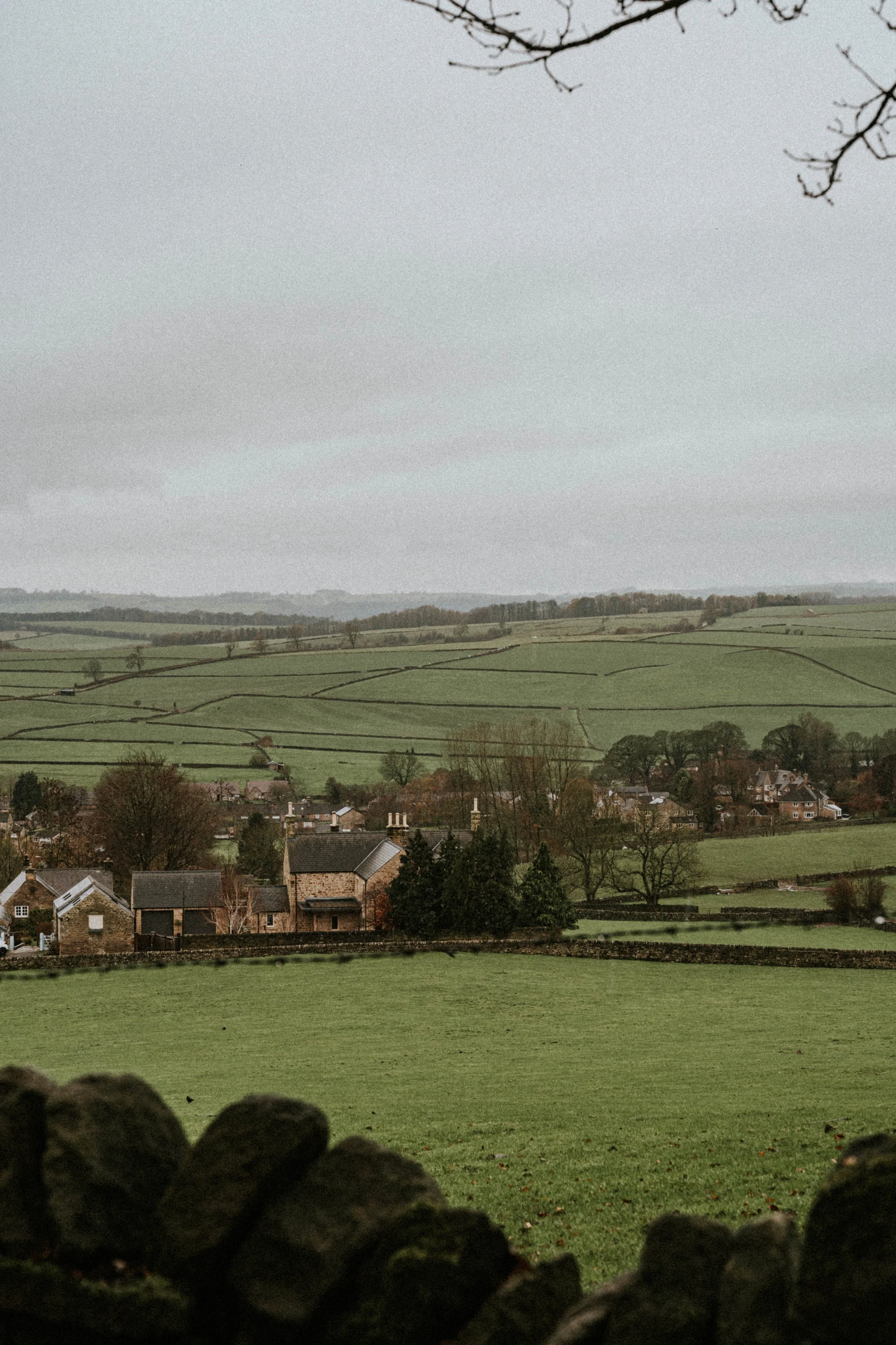 DSC08988.jpg