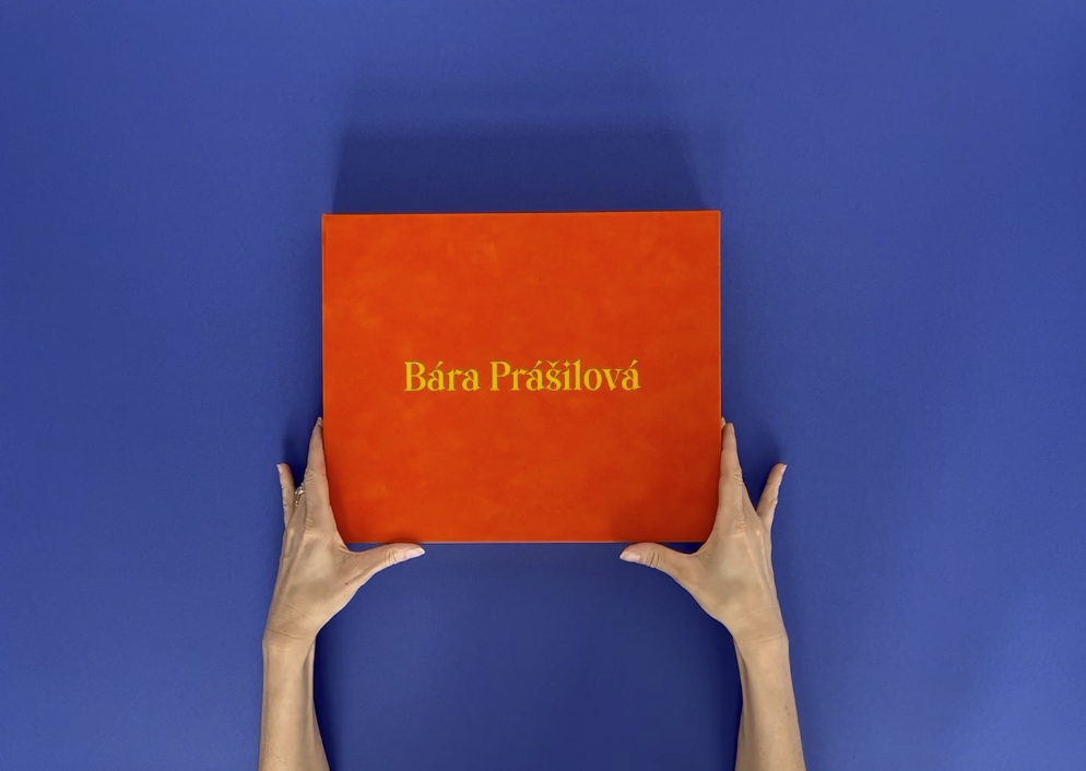 Snímek obrazovky 2022-06-29 v 21.35.21.png