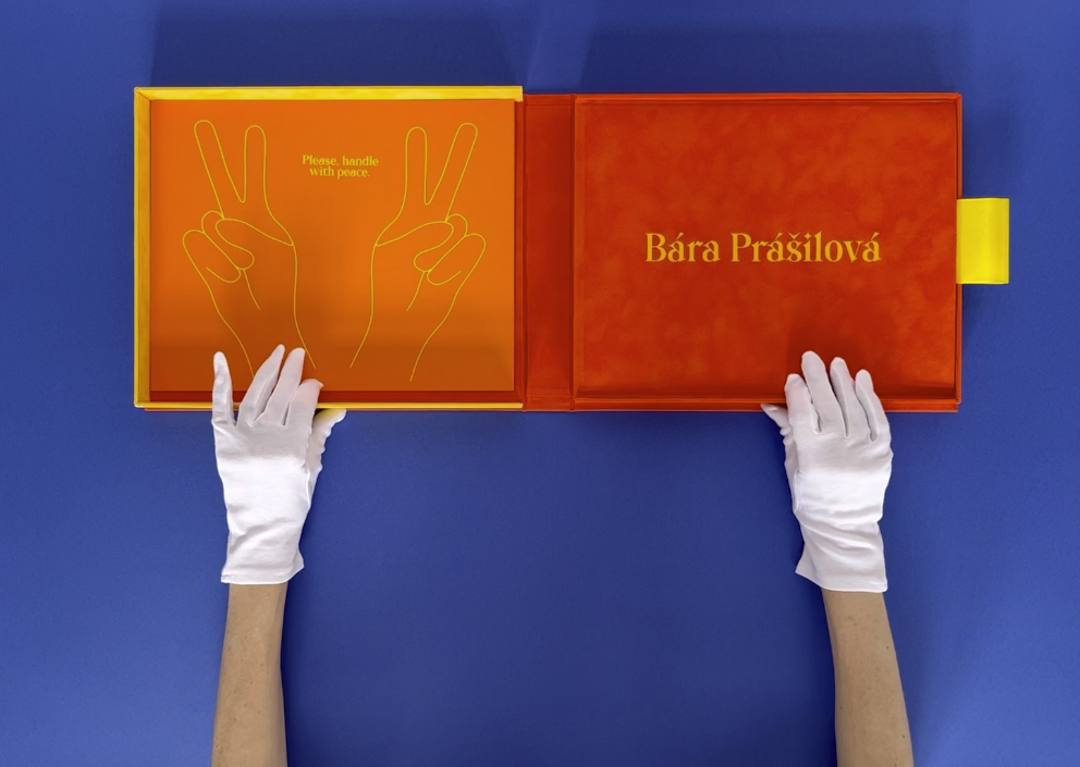 Snímek obrazovky 2022-06-29 v 21.35.52.png