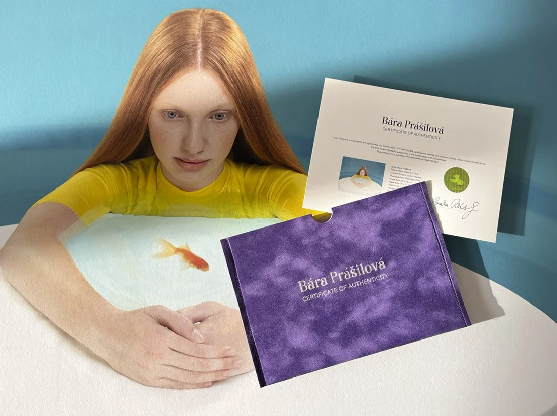 Snímek obrazovky 2025-11-02 v 18.25.41.jpg