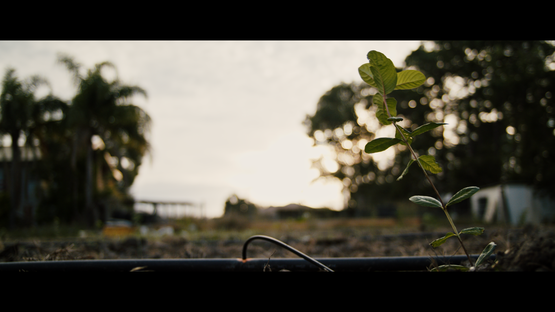 3 minidoc_1.29.1.png