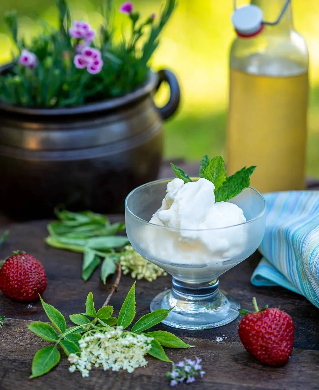 Flädersorbet 