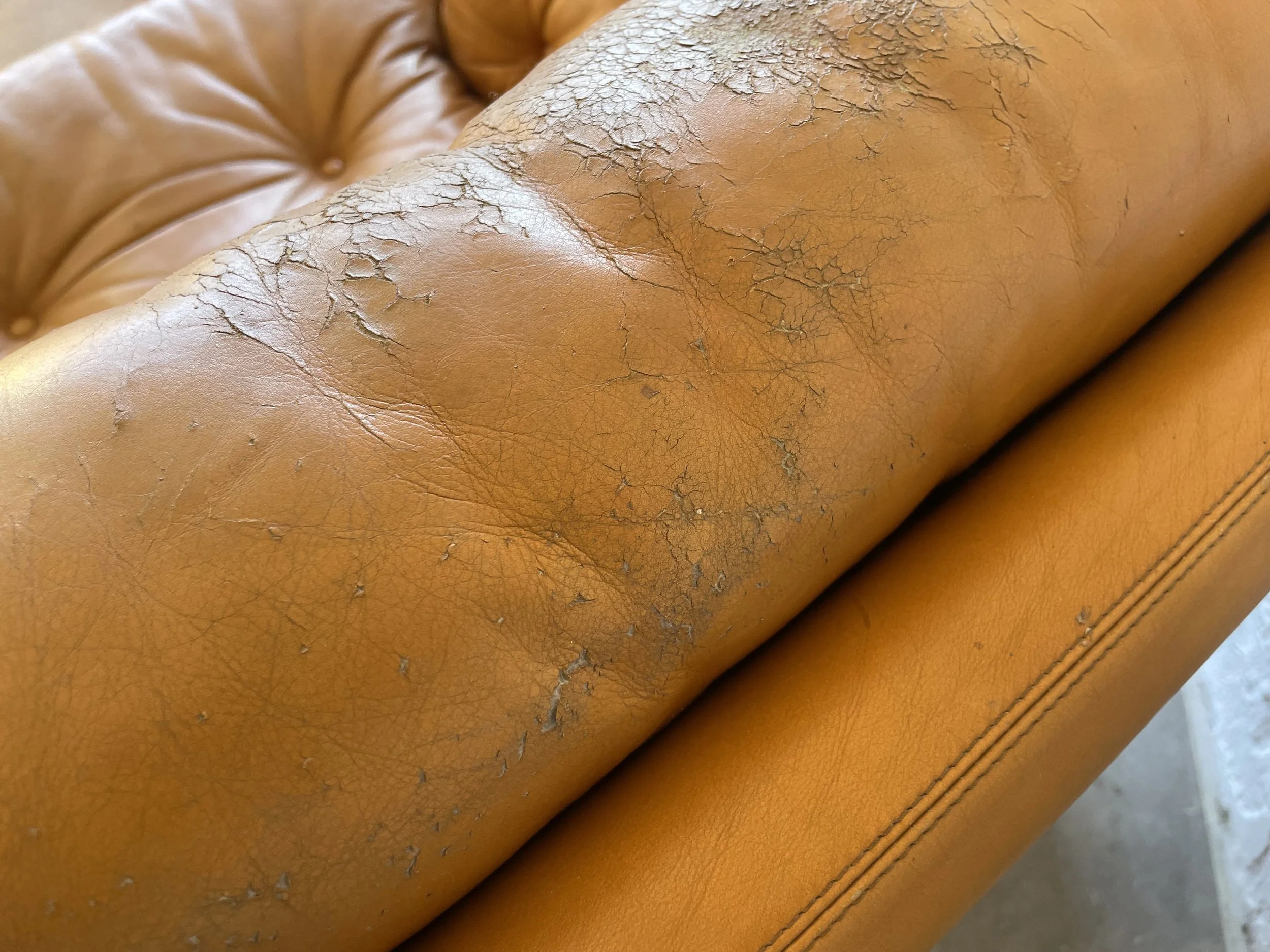 Sofa mostarda 12.jpg