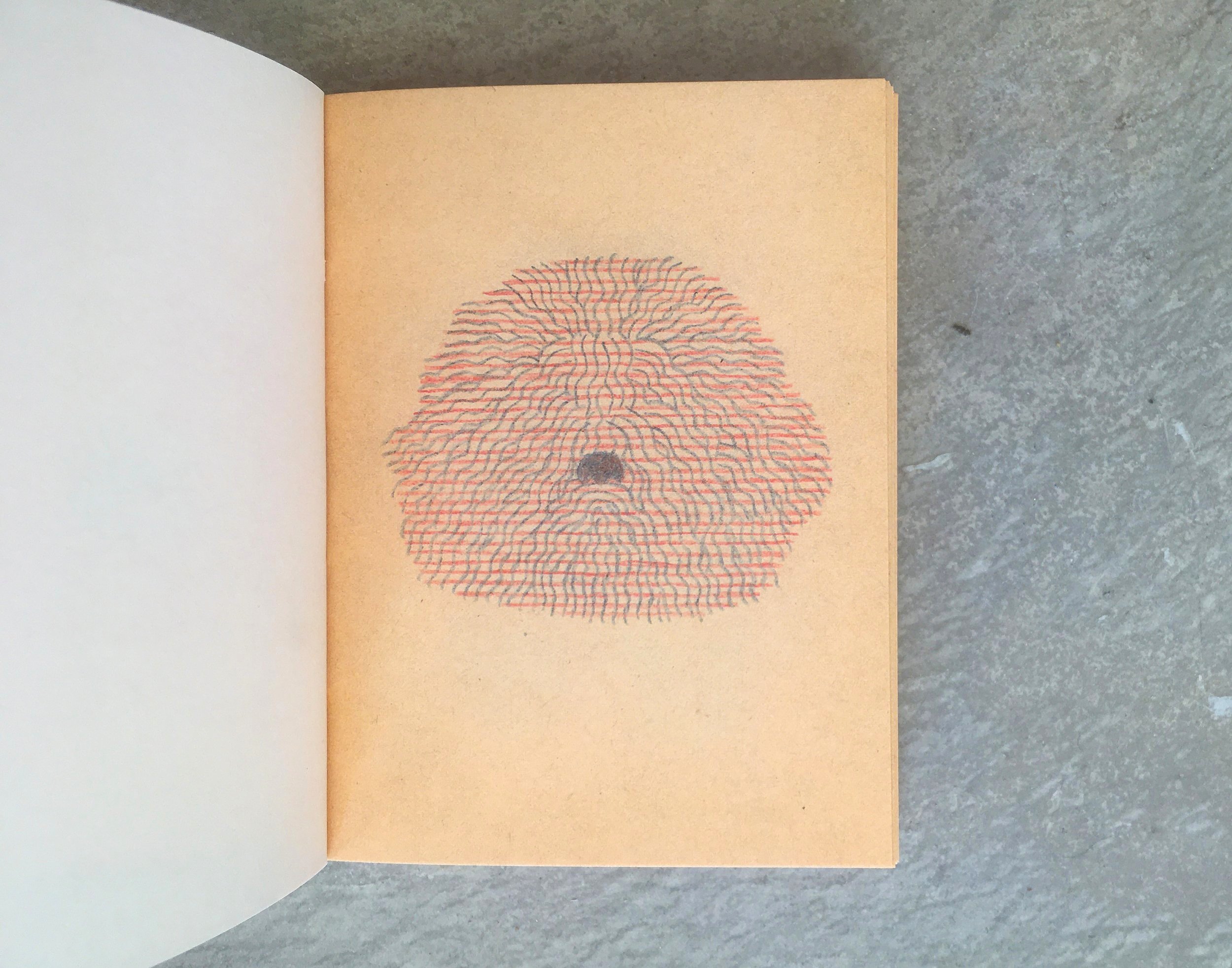 LIVRO+Caniscope+4.jpg