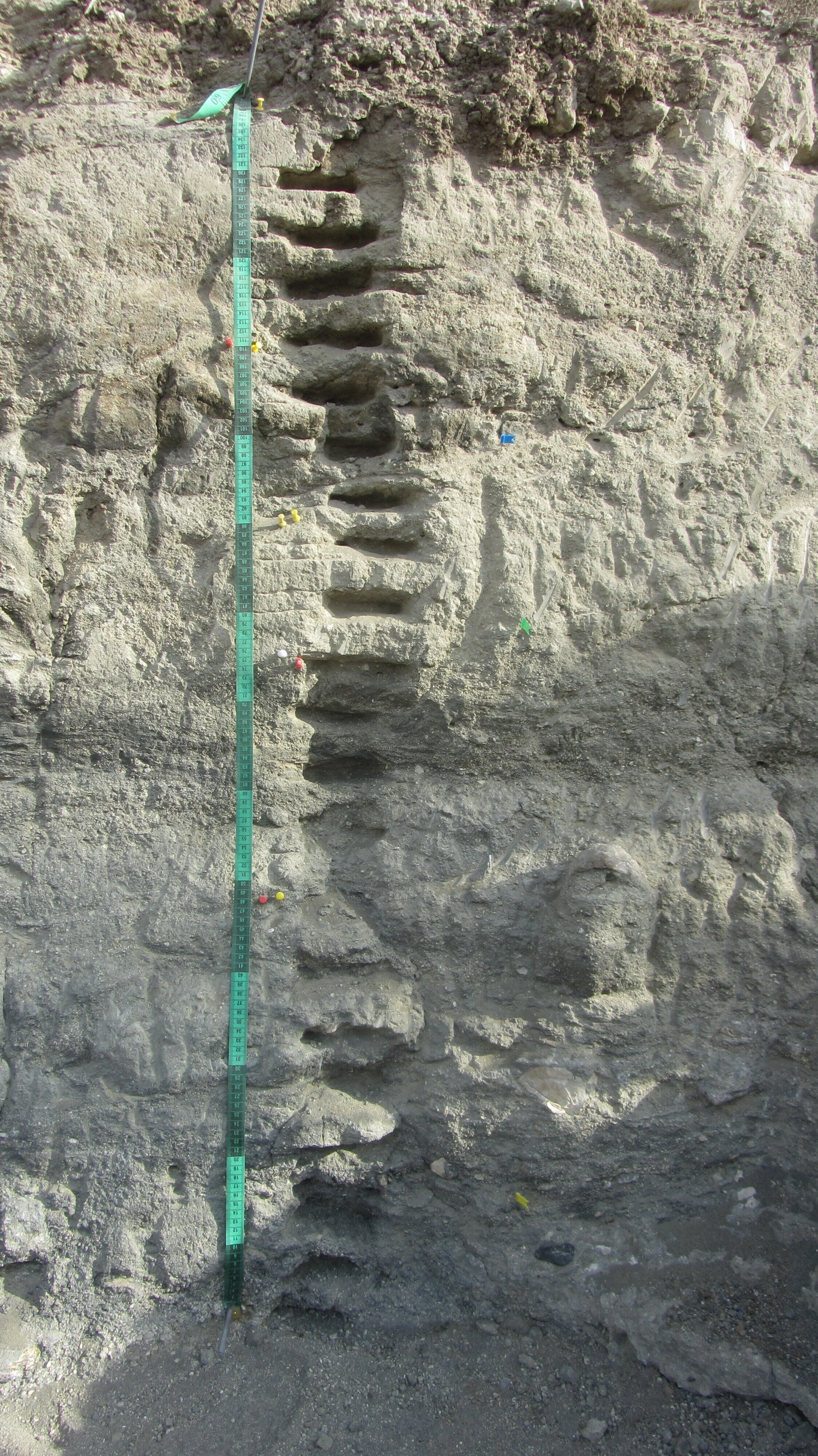 Column sampling approach through different archaeological horizons. This ‘on-site’ strategy allows for the direct association of biomarker paleo-records with stone tool and fossil assemblages.