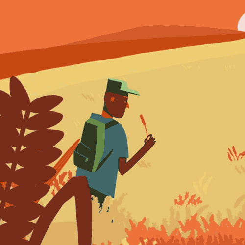 Animated explainer video