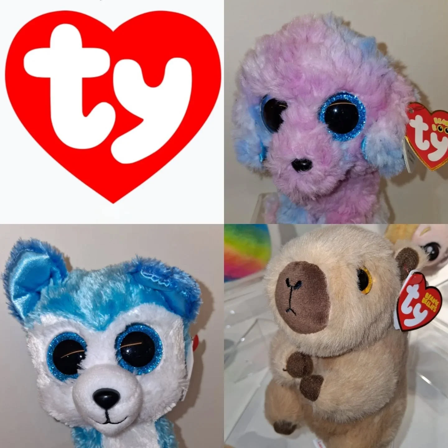 👀Spotted at Toy Fair London👀

There are some new faces on the TY stand! 

We 🤎 'Lara' the Capybara Beanie Bellie!