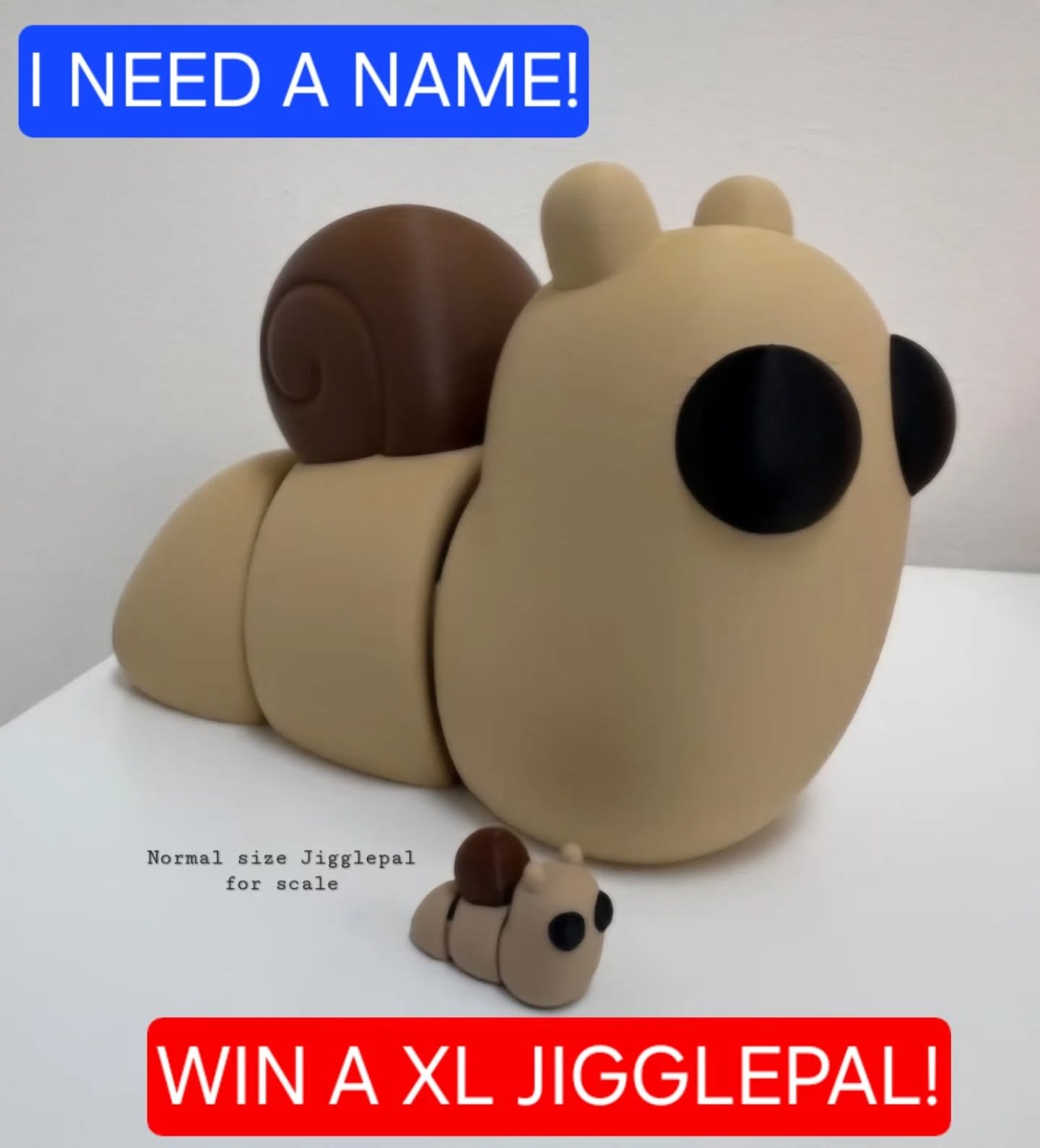 🐌COMPETITION TIME 🐌

Win a XL SNAIL JIGGLEPAL!

Simply come into THE TRADING POST, make sure you take a look in our window on the way to see the XL SNAIL JIGGLEPAL, then think of a NAME for the SNAIL and write on an entry form at the till!

The com