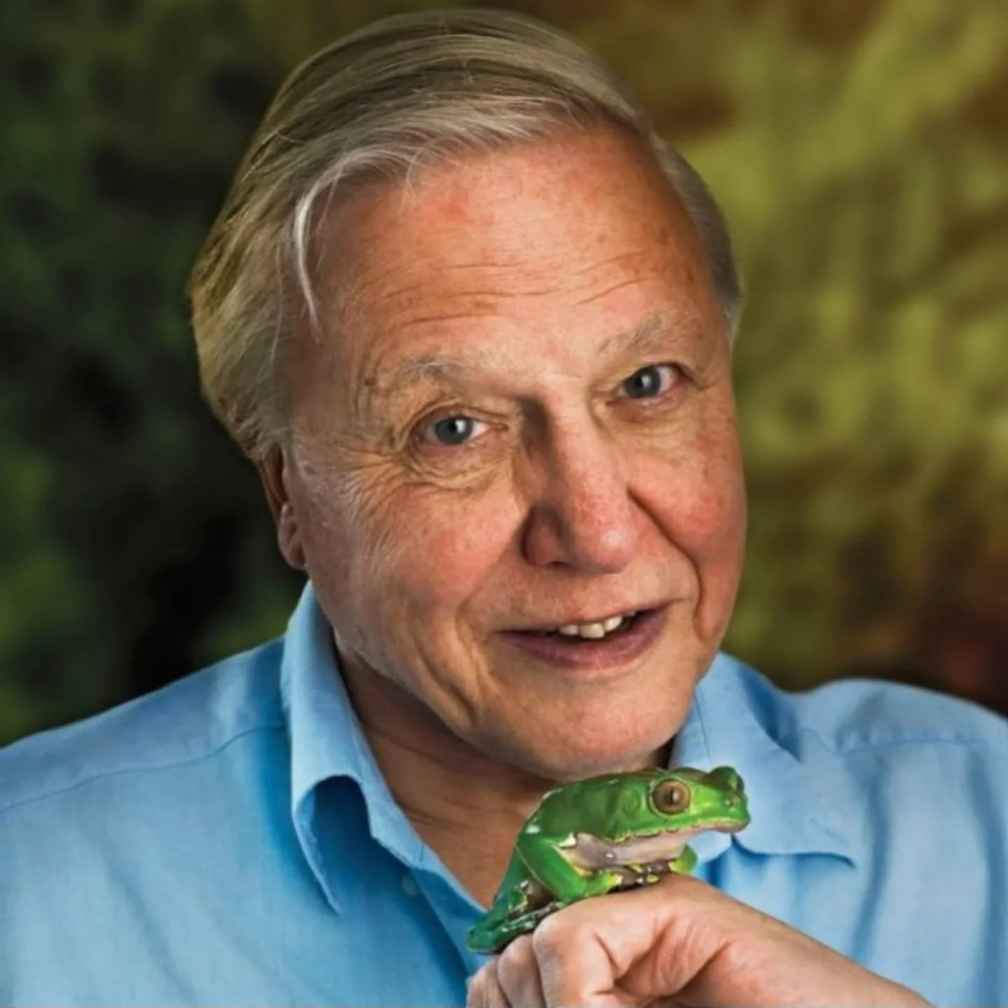 🎈🎂🥂Happy Birthday Sir David Attenborough🎈🎂🥂

🌍"If children don't grow up knowing about nature and appreciating it, they will not understand it, and if they don't understand it, they won't protect it"🌍

We have many flora and fauna t
