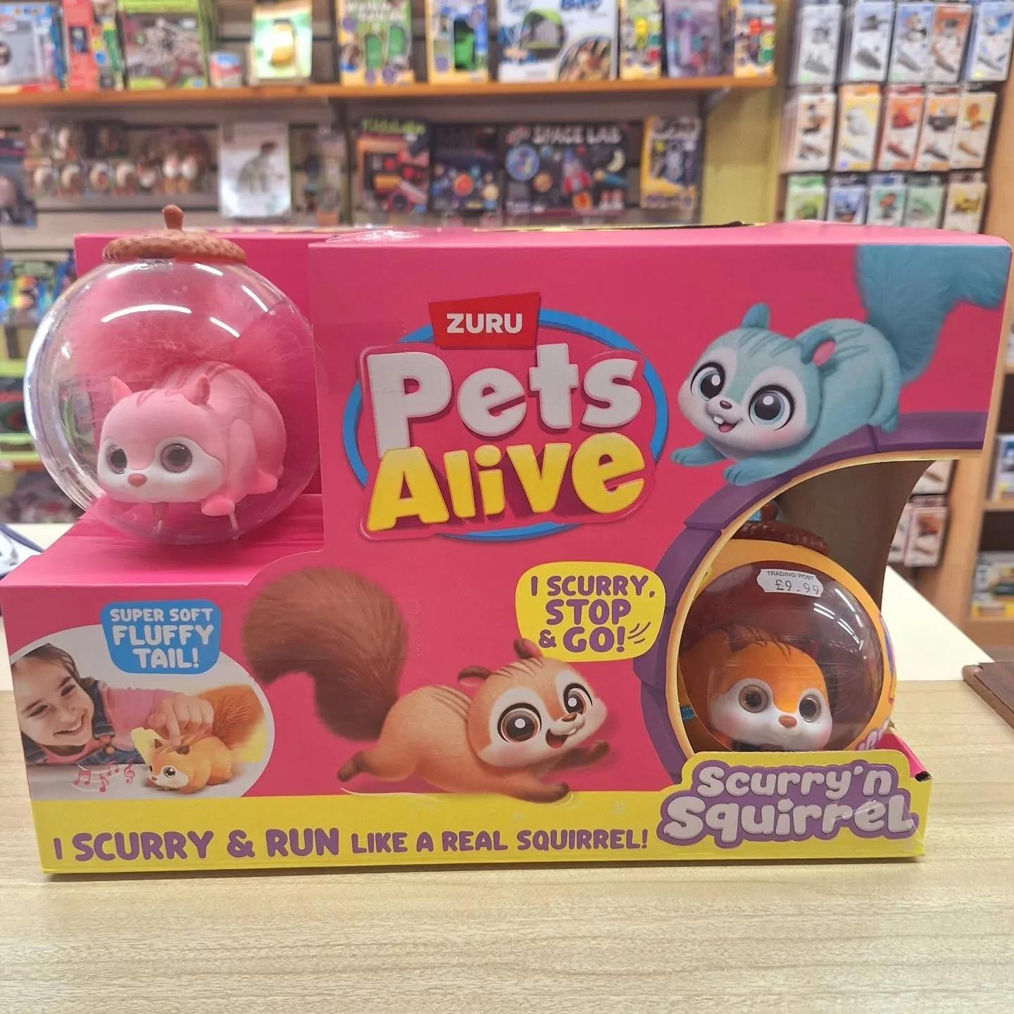 🐿These new arrivals have been scurrying out today!🐿

#petsalive #bestseller #mayhalfterm #devon