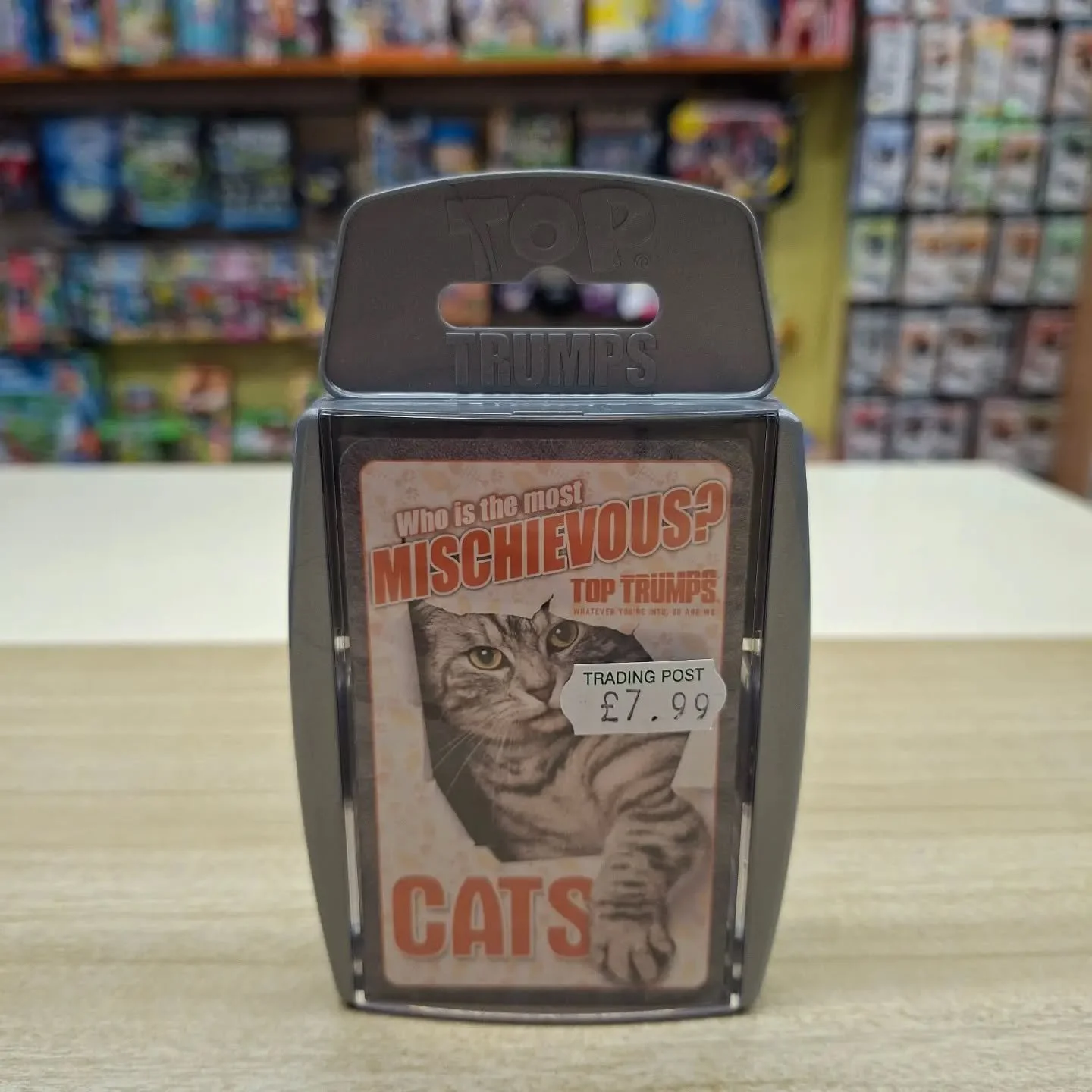 🐱🐈&zwj;⬛🐈NATIONAL CAT DAY🐱🐈&zwj;⬛🐈

It is National Cat Day today, it is a purr-fect occasion to celebrate our feline friends.

🎁Here are some gift ideas for the cat lovers in your world!🎁