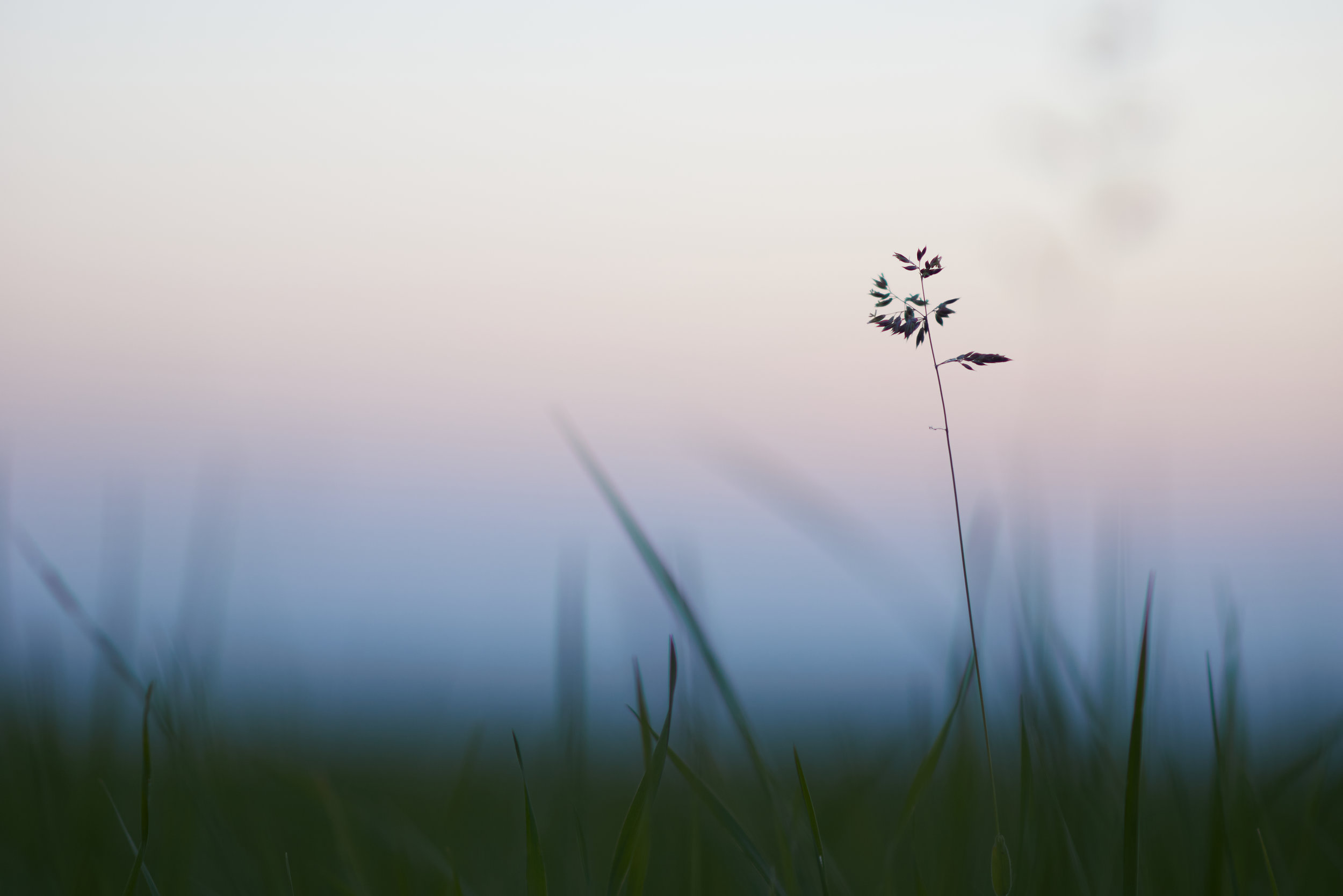 Back To Basics: How To Identify Your Emotions