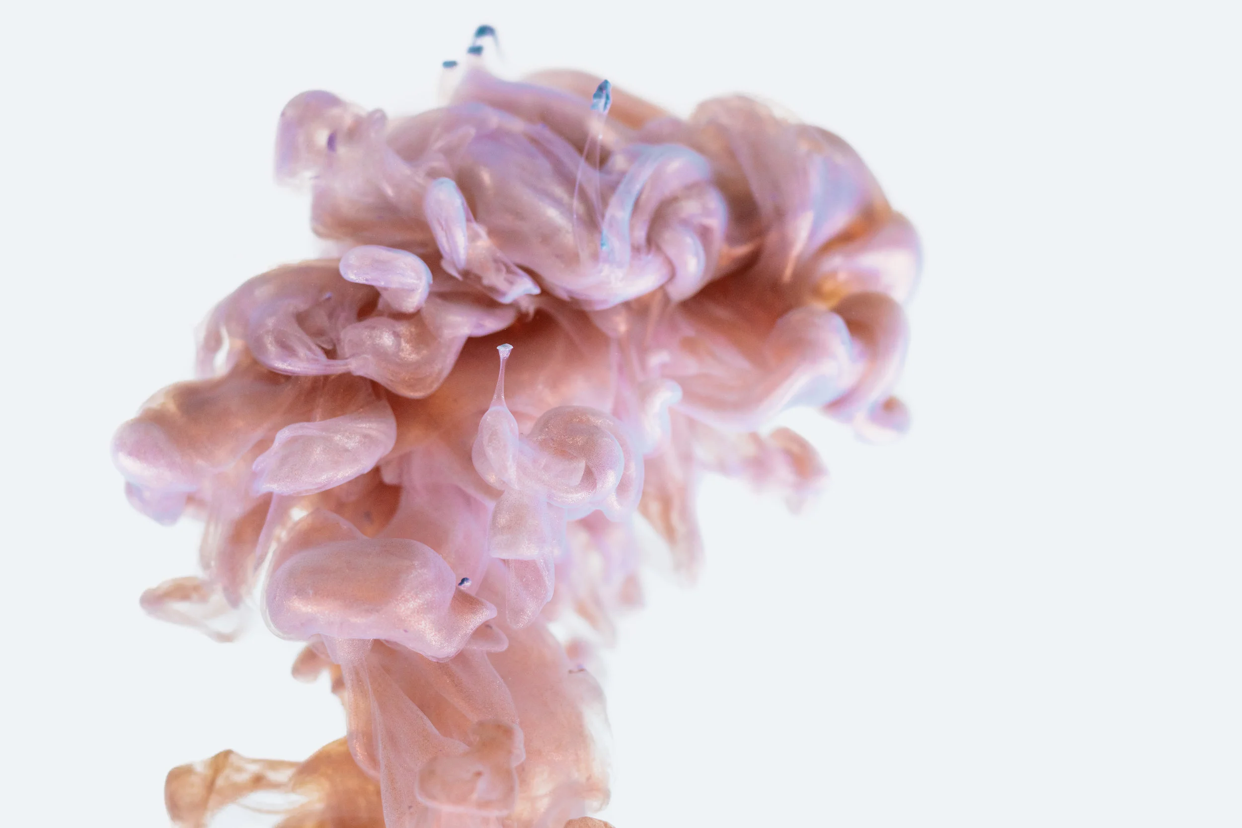 What Are Brain Dumps?