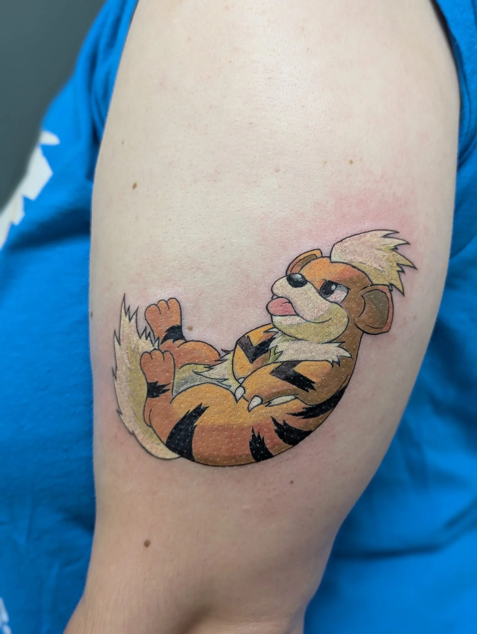 PHOTO-2025-09-17-19-50-54 3.jpeg