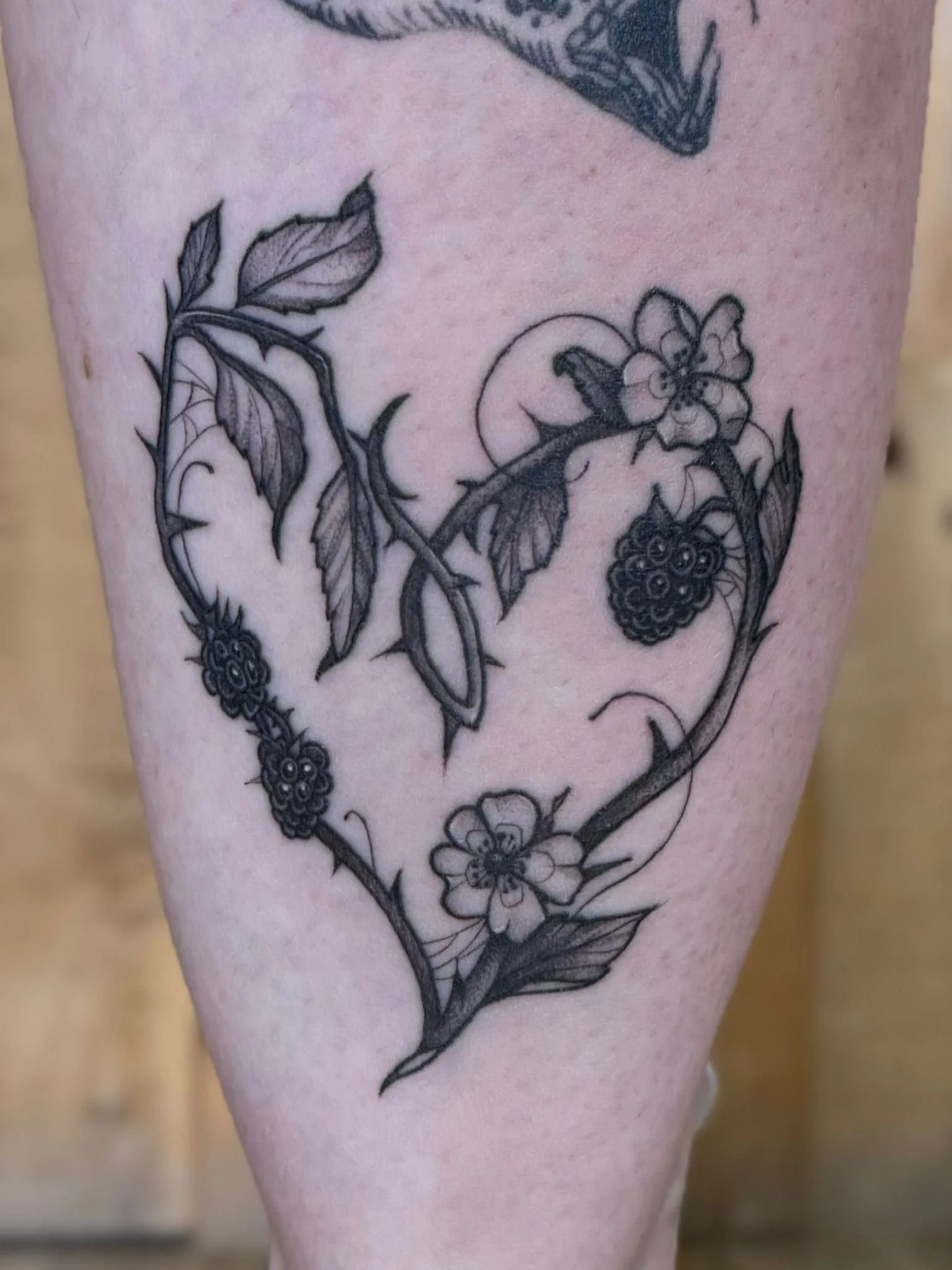 PHOTO-2025-09-18-09-43-47 3.jpeg