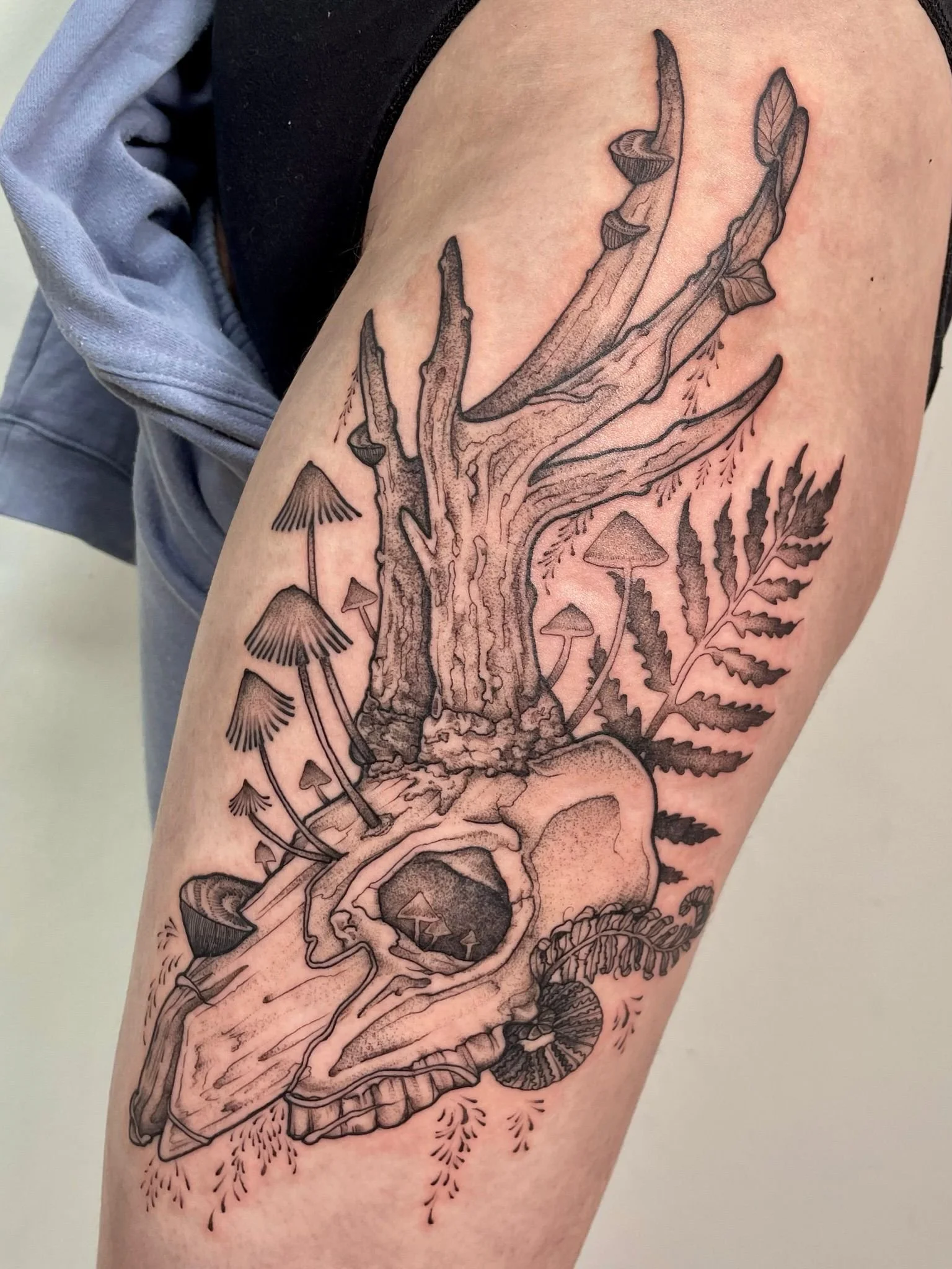 PHOTO-2025-09-18-09-43-50 4.jpeg