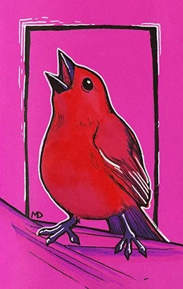 fatbirbweb.webp