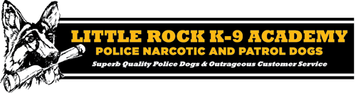 K9 logo.png