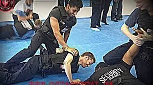 Handcuffing and TPSB OC Training 