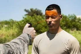 Baton, Handcuffing and OC Training