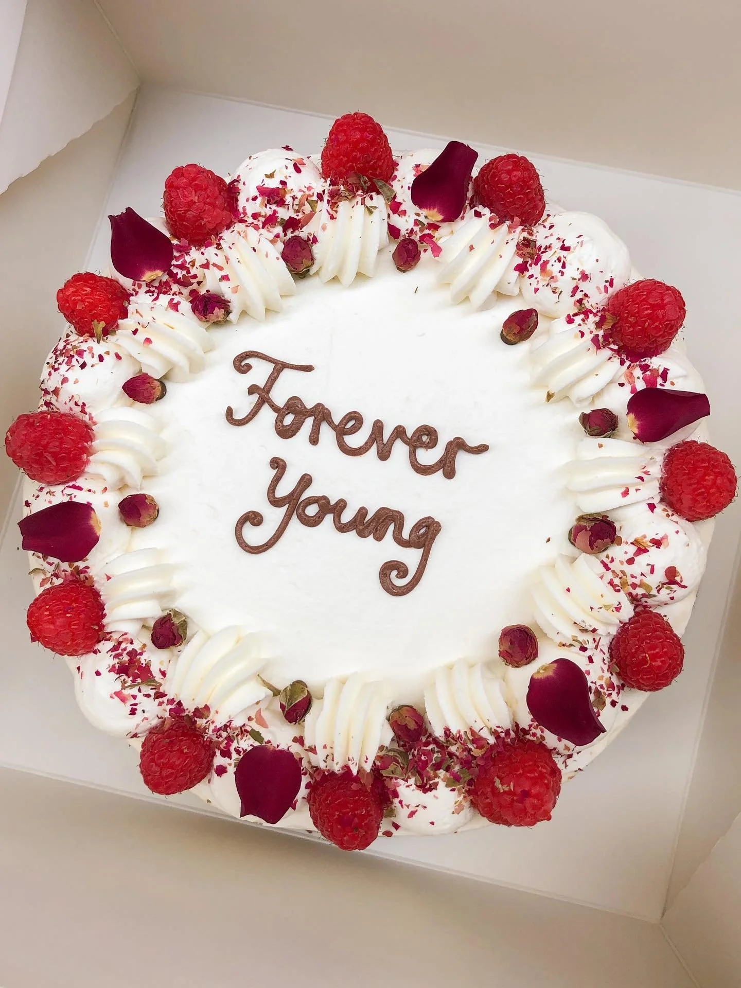 This was October 🎢🎃🍂🍁🧡 slices of life and slices of cake. And a couple of Christmas range spoilers ✨