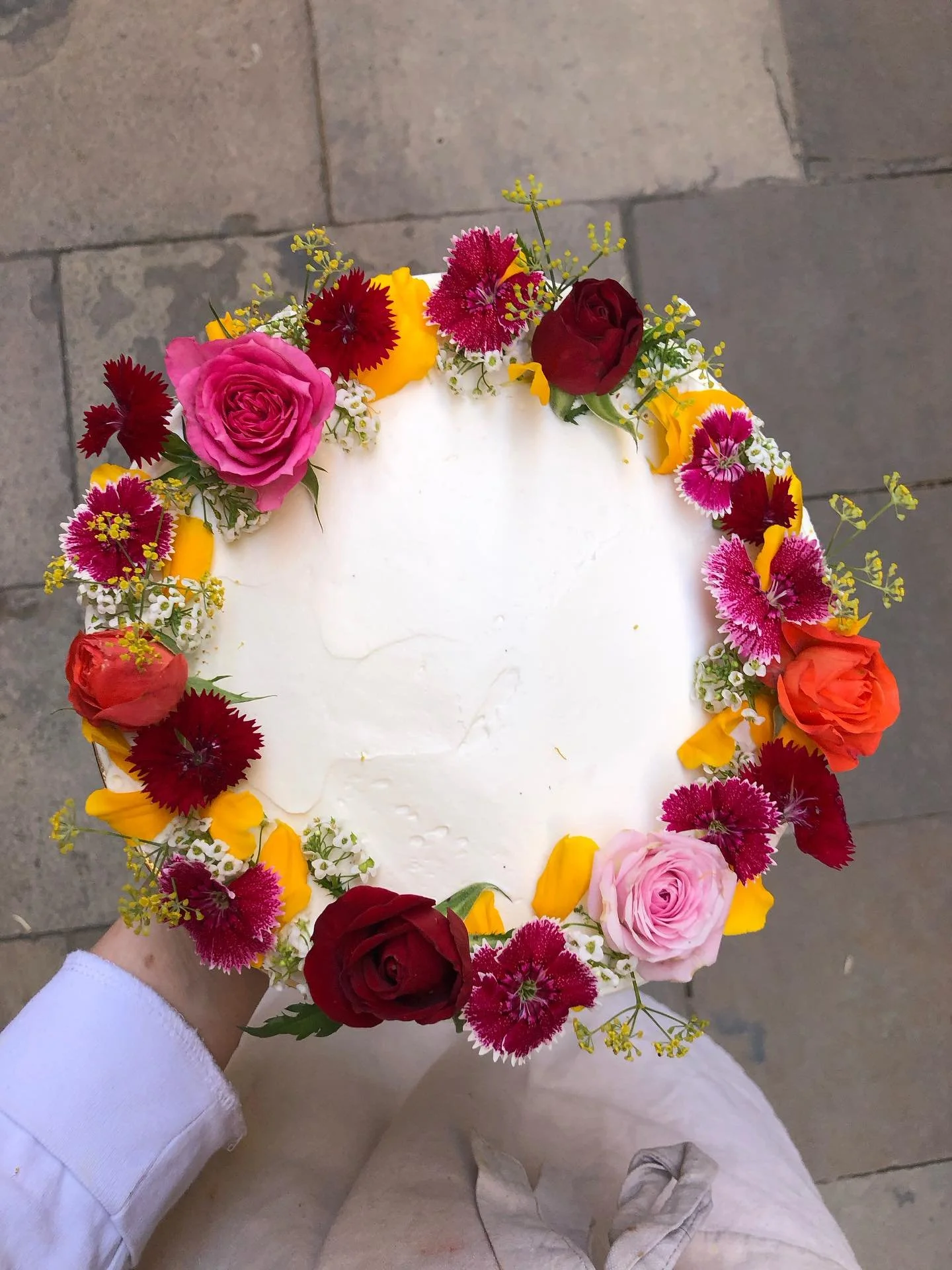 No me esperaba tanta variedad de flores en noviembre! 🌷🌻🪻