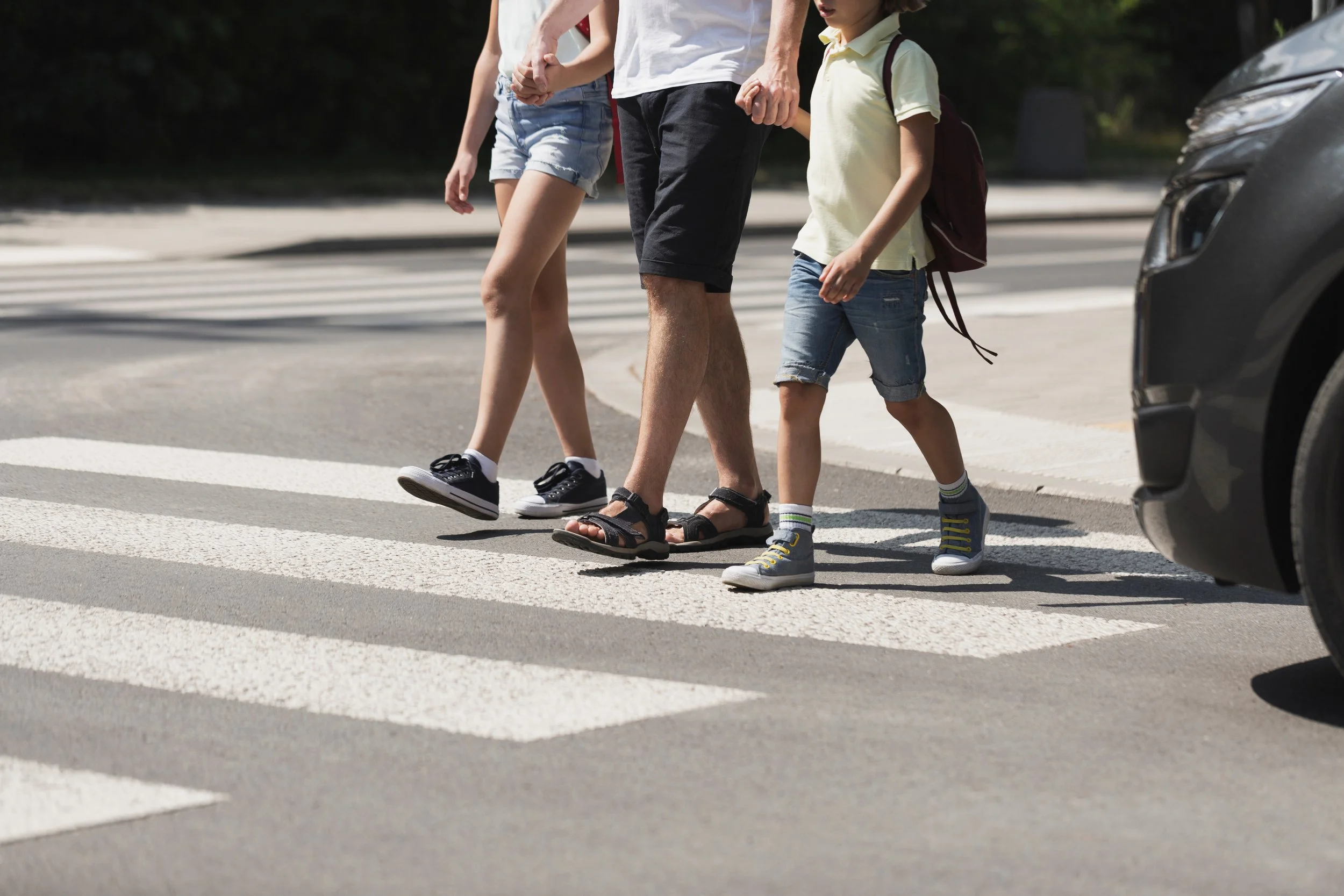 Strategies for Safe Perception