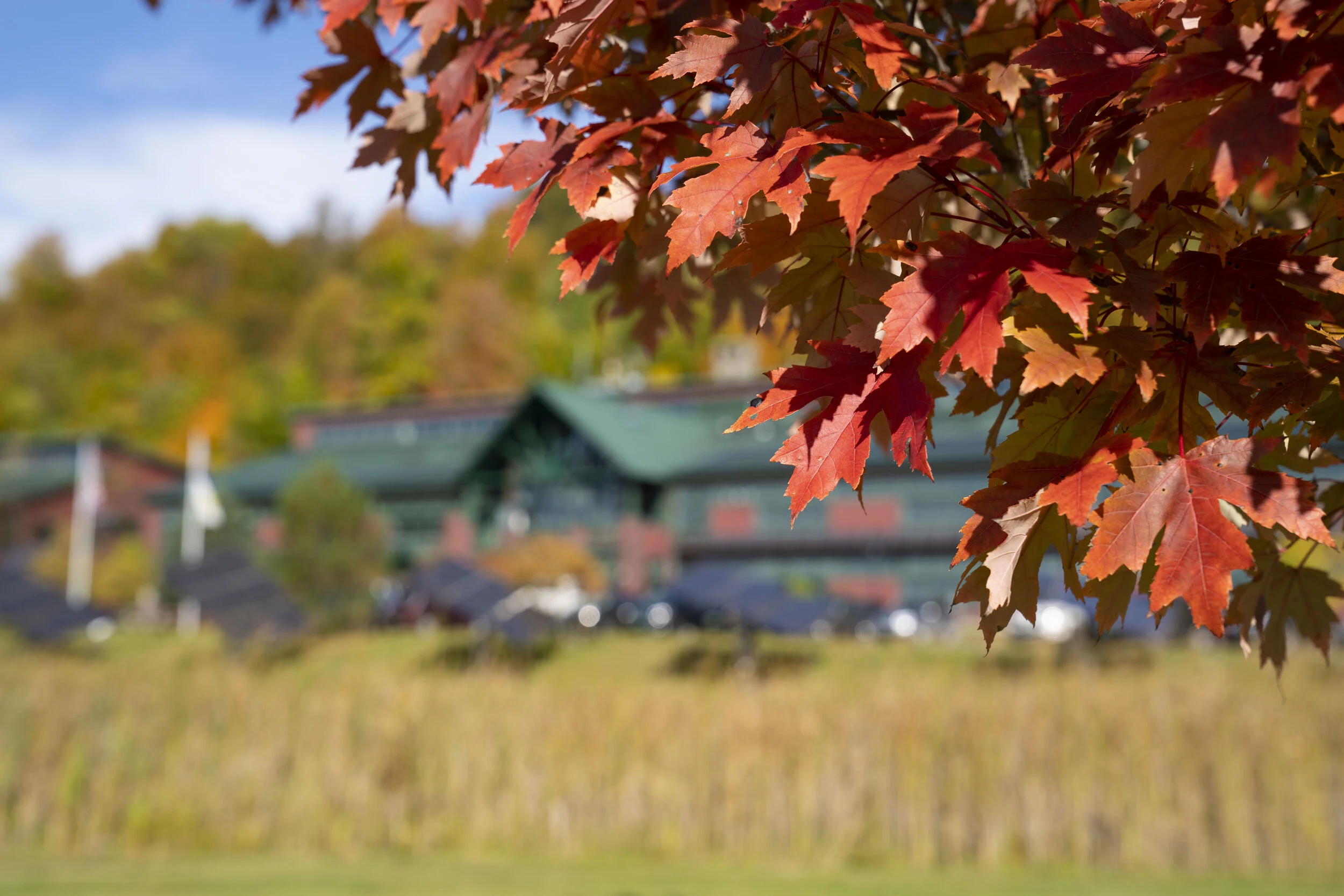 NRG Headquarters Fall  (4).JPG