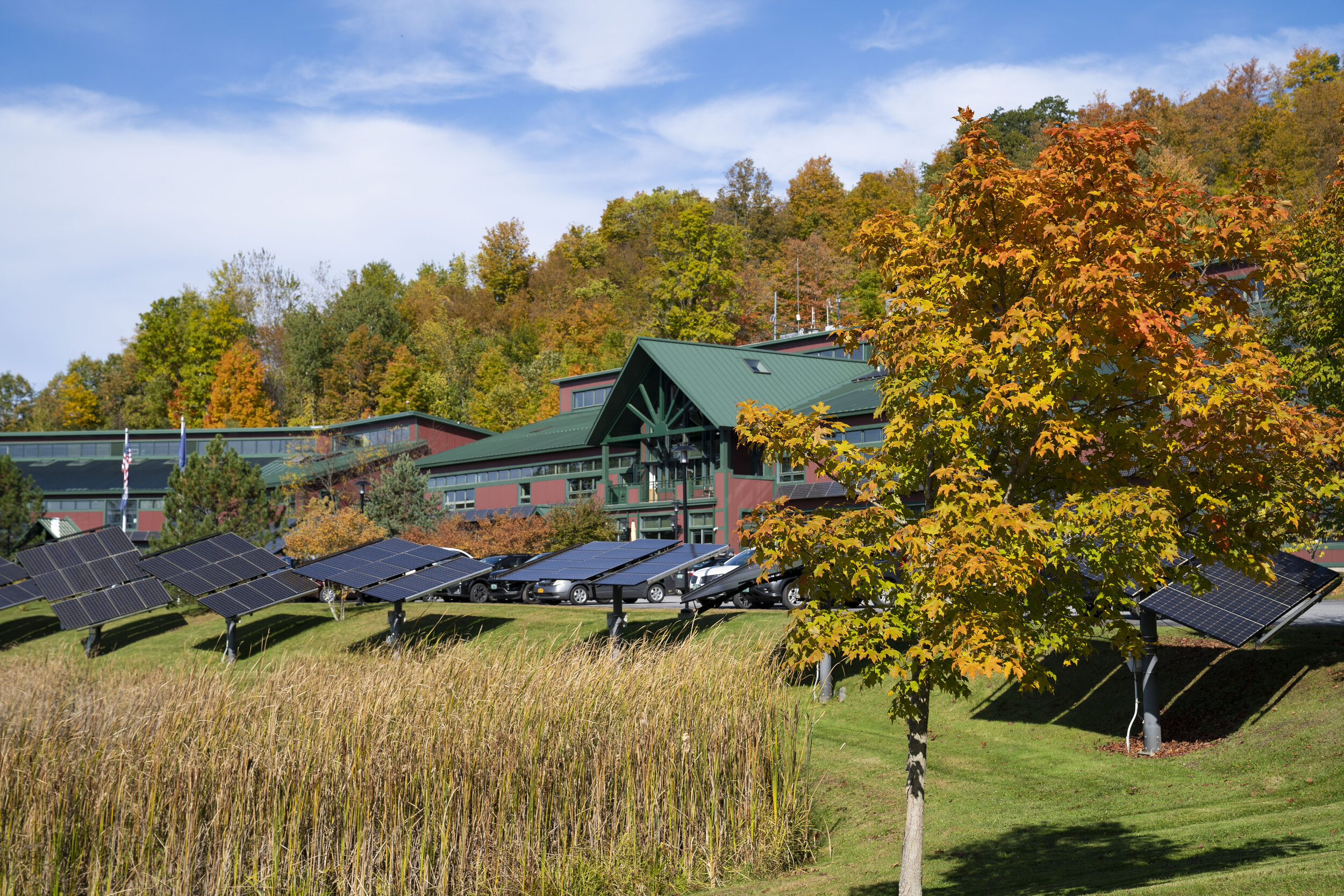 NRG Headquarters Fall  (1).JPG