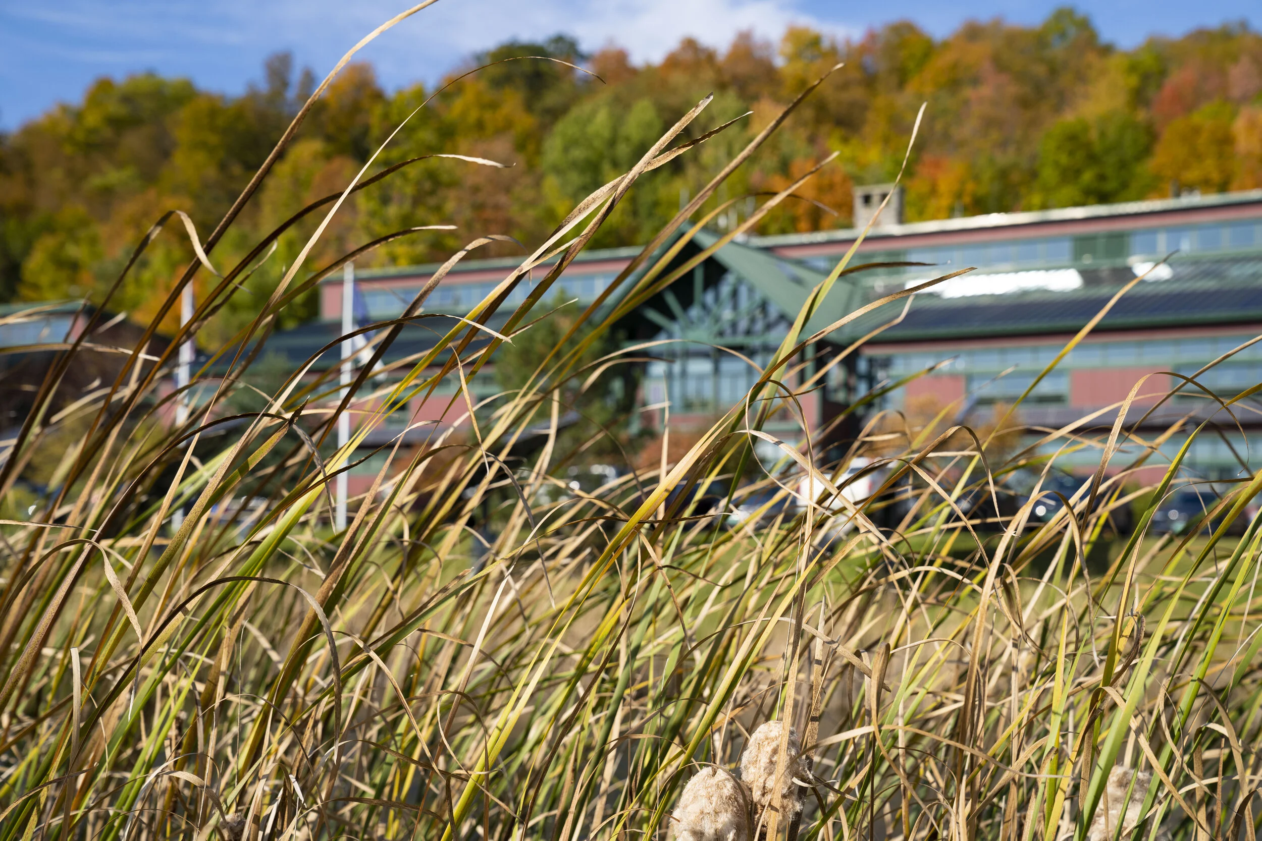 NRG Headquarters Fall  (5).JPG