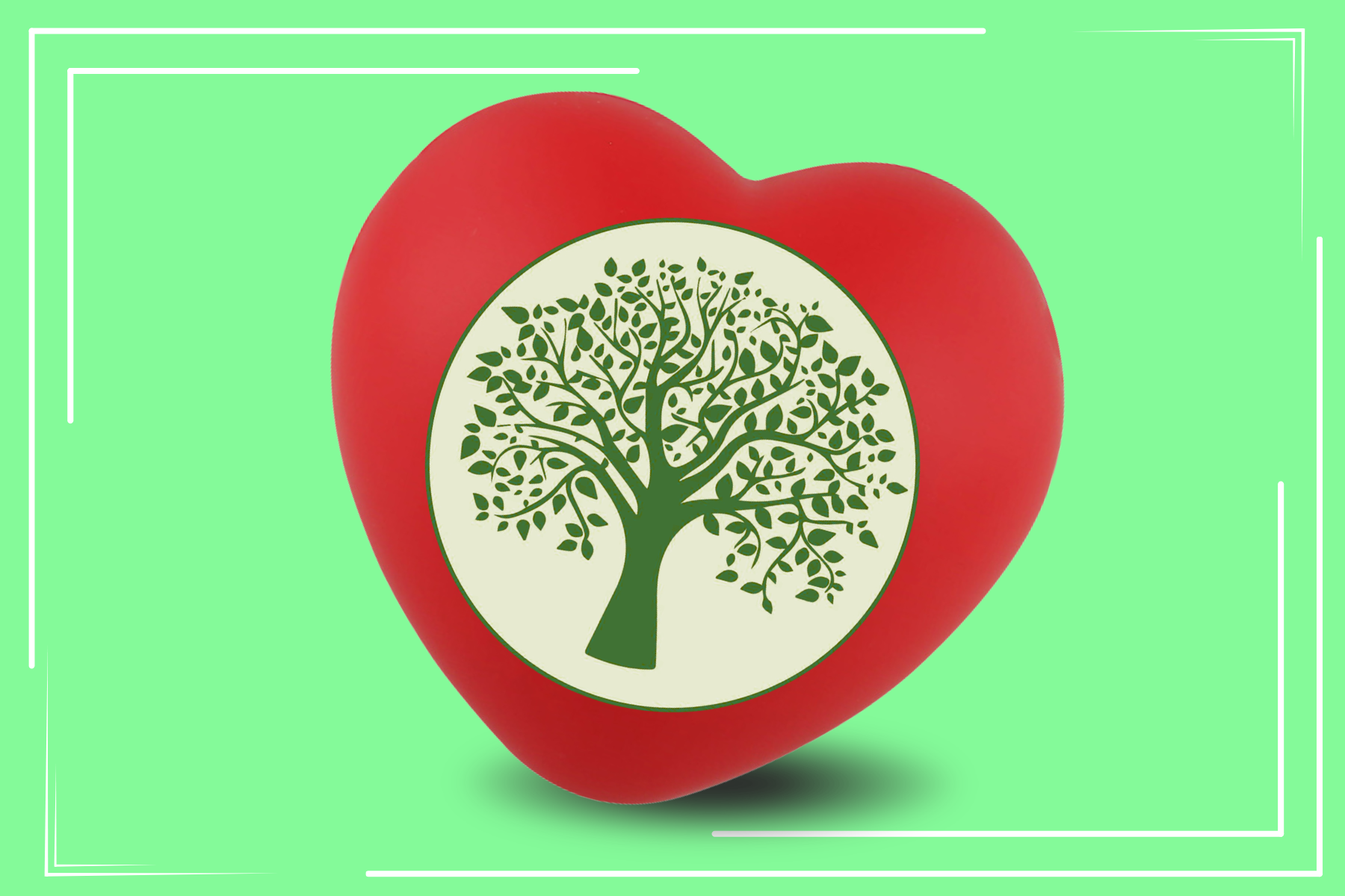 Valley View Health Centers' Logo on Heart.