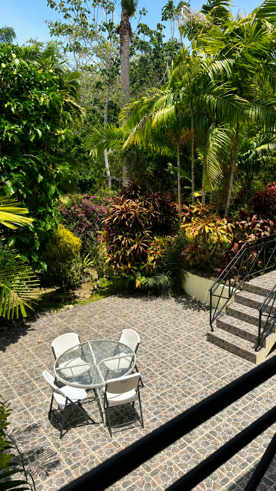 Patio area- Blue Tanager.png
