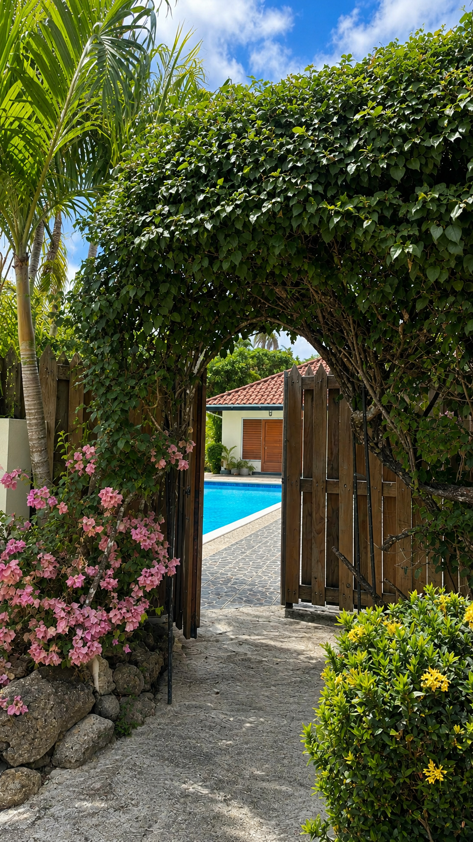 entrance to pool- Blue Tanager.png