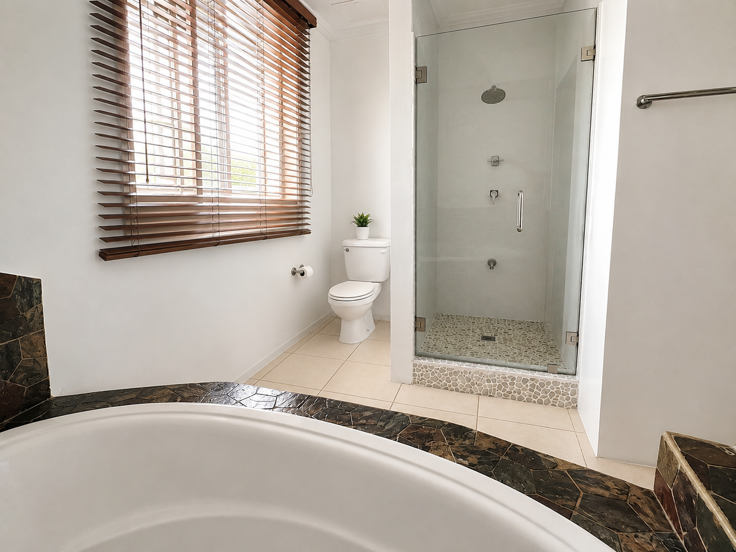 master bathroom 2.png