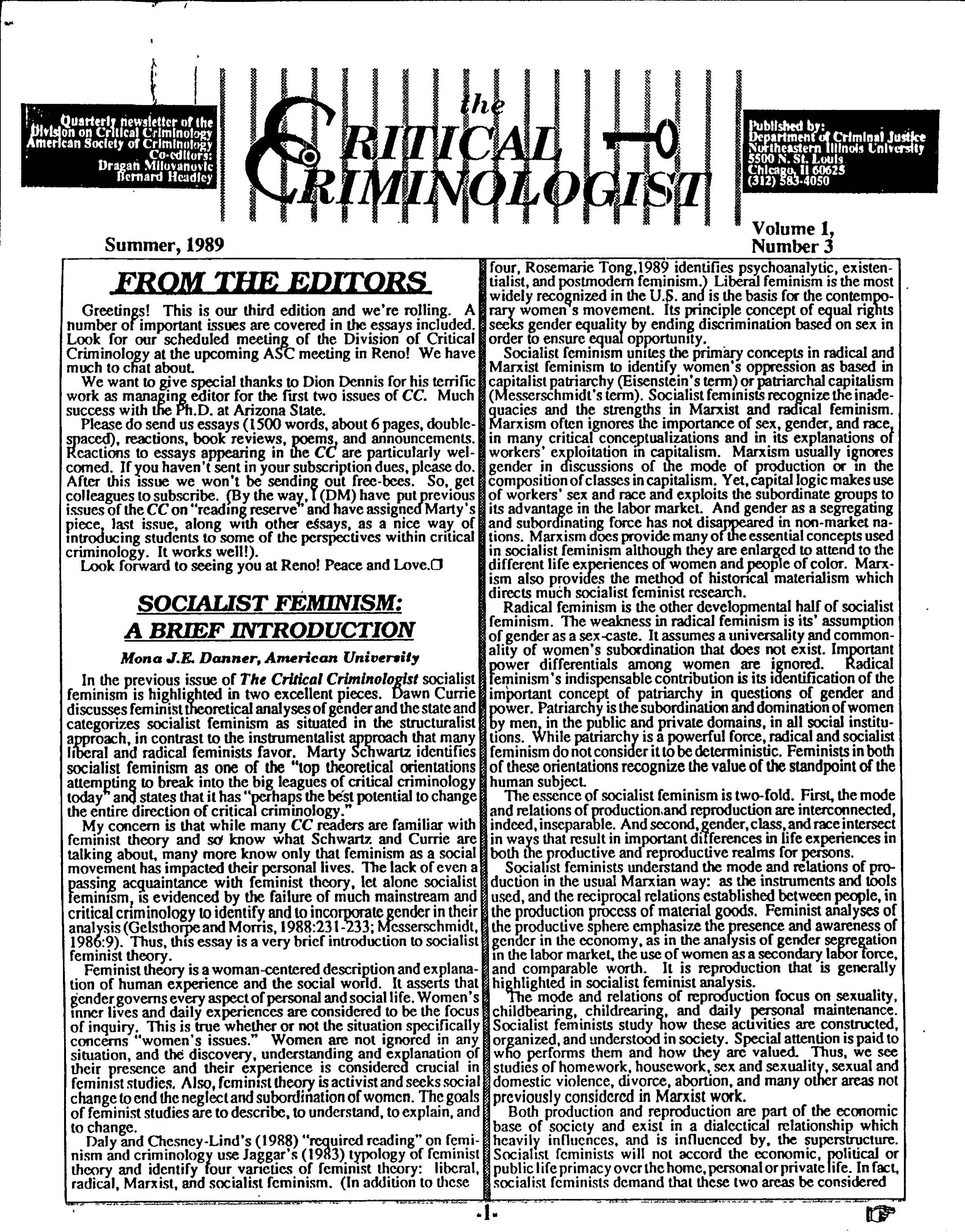 The Critical Criminologist Vol 1 No 3