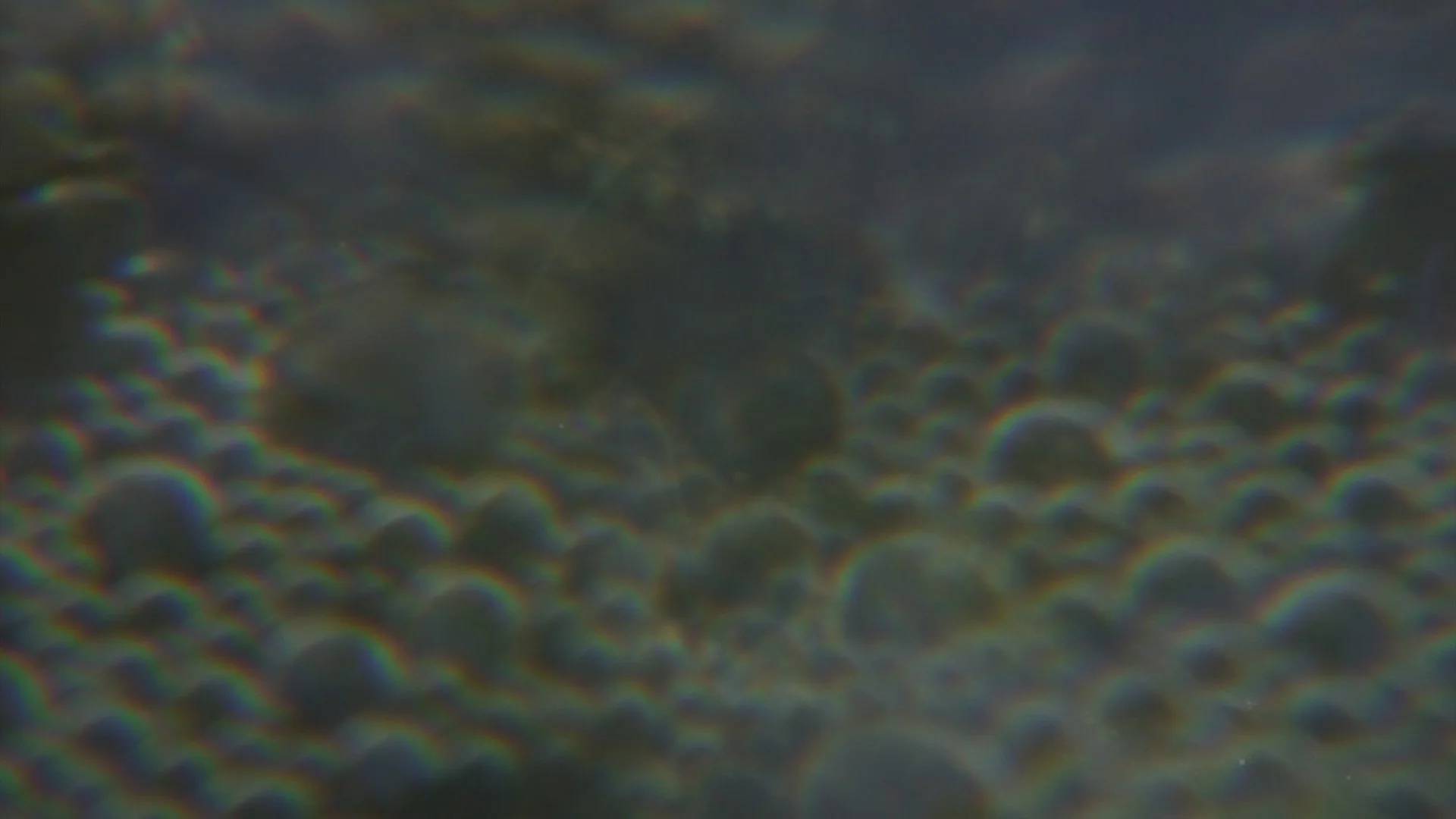 The Nursery of Worlds, MiniDV/HDV, silent, 14:48, 2022