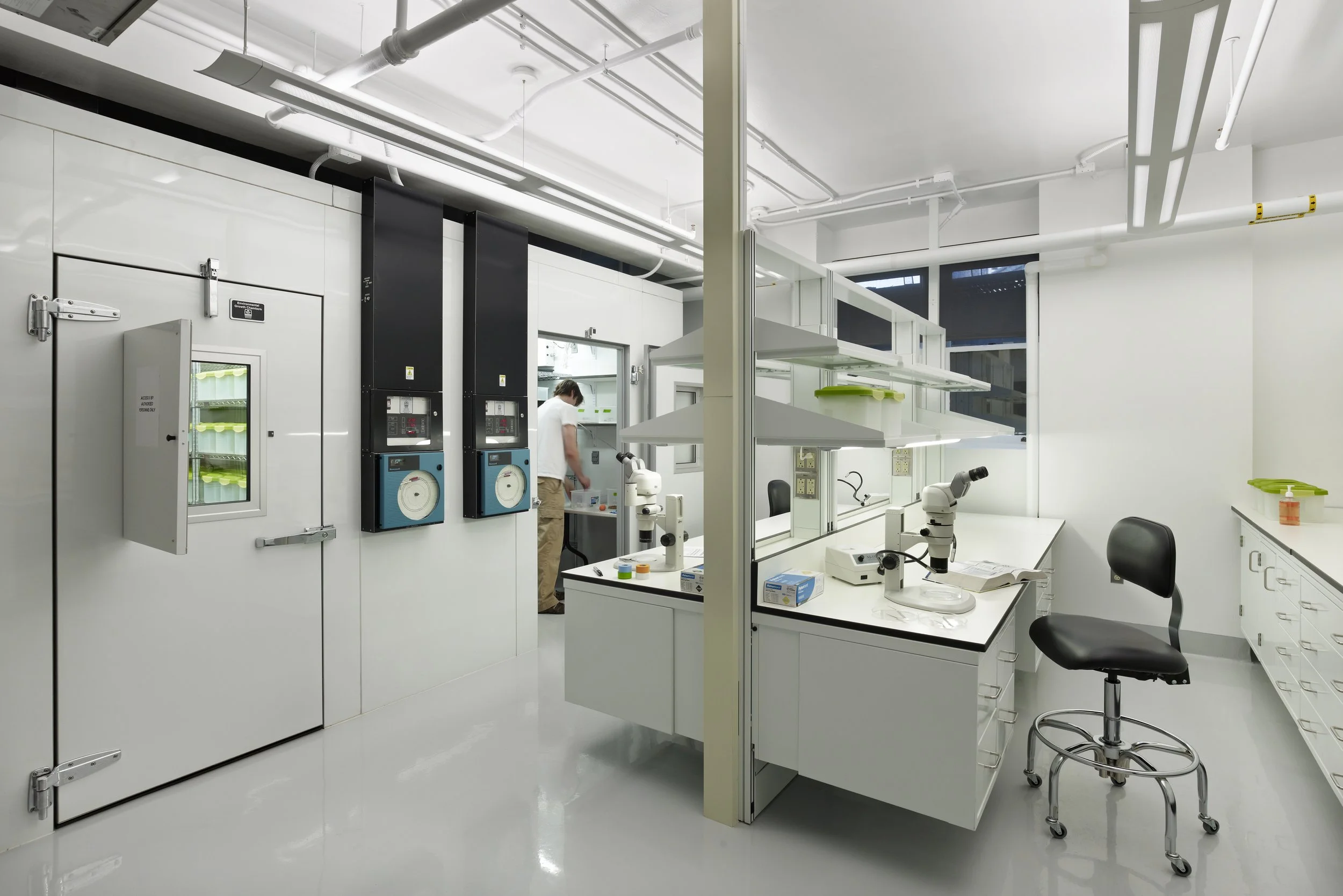 Anthropoids Research Laboratory.  Dr. Lynksvayer 