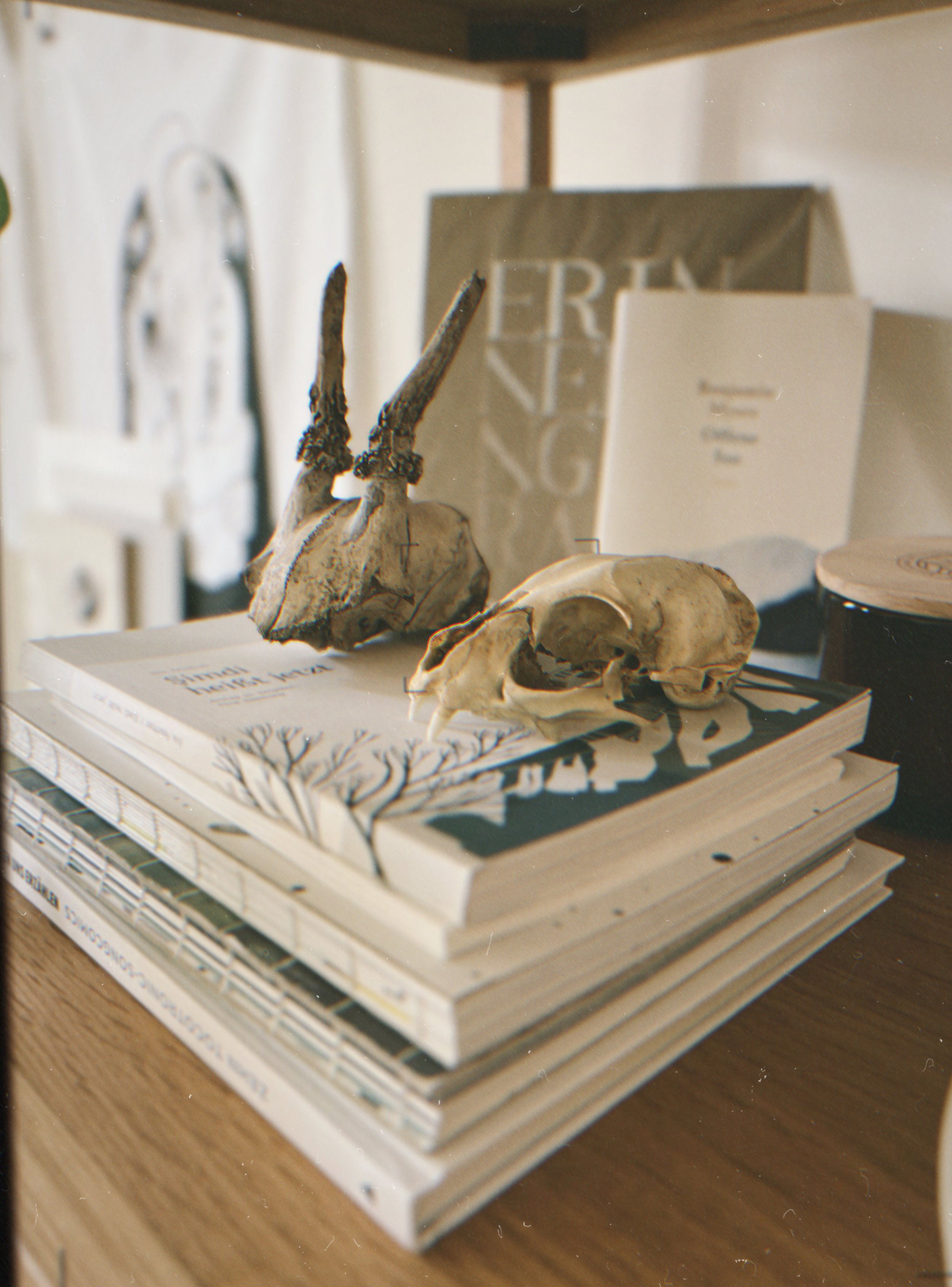 April Sketchbook: Life–Death–Life 