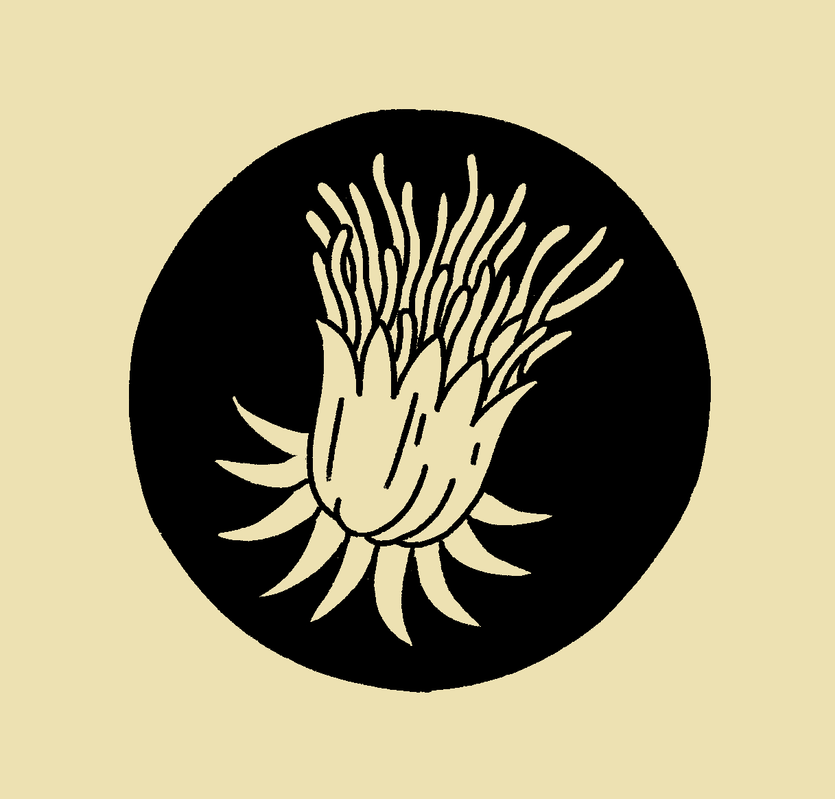 Unbenanntes_Projekt 16.png