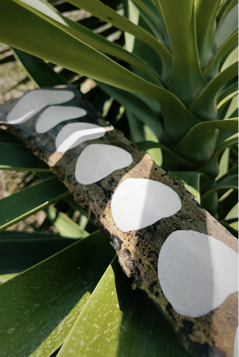 dots-palm.png