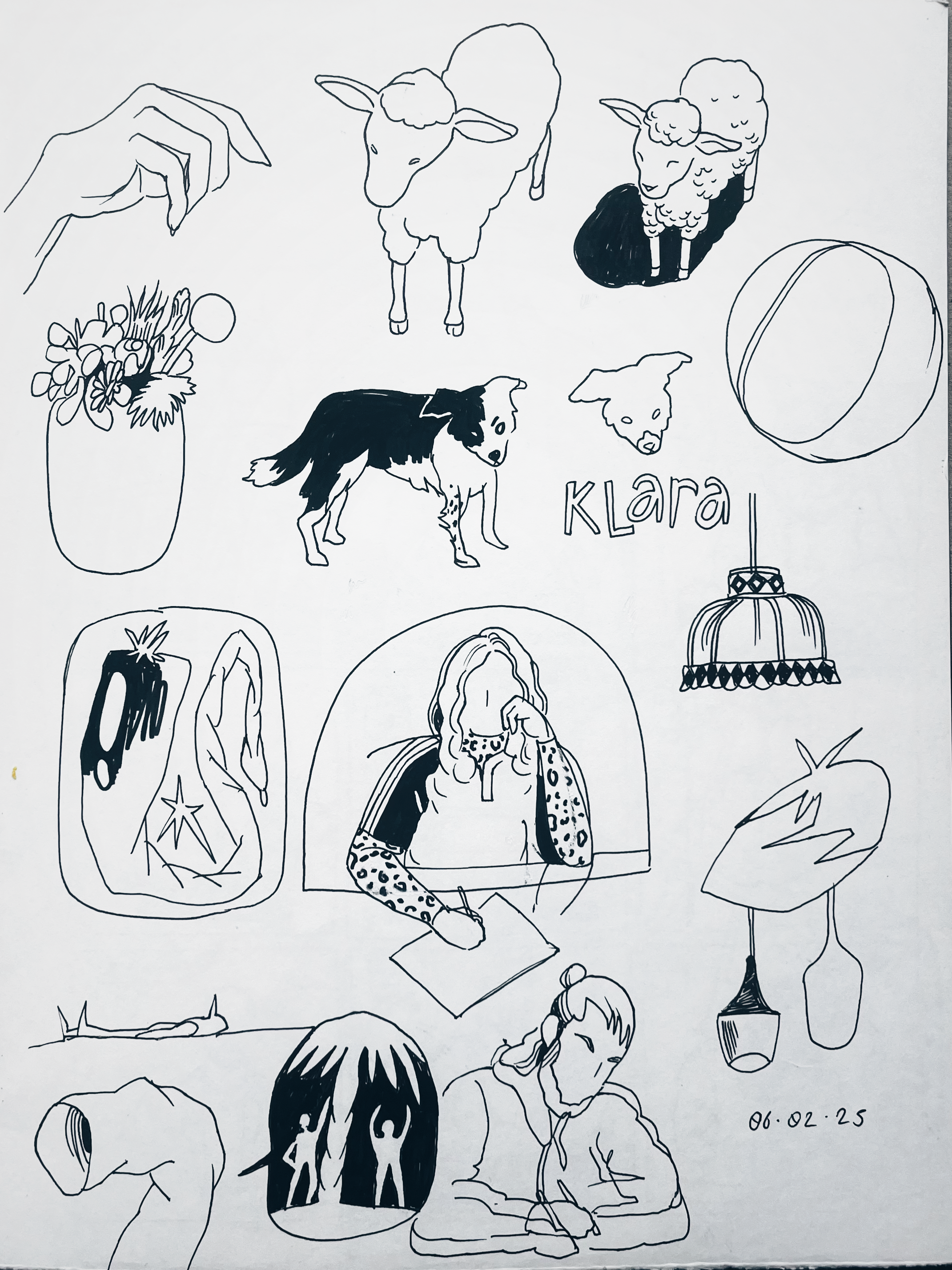 IMG_7036.PNG