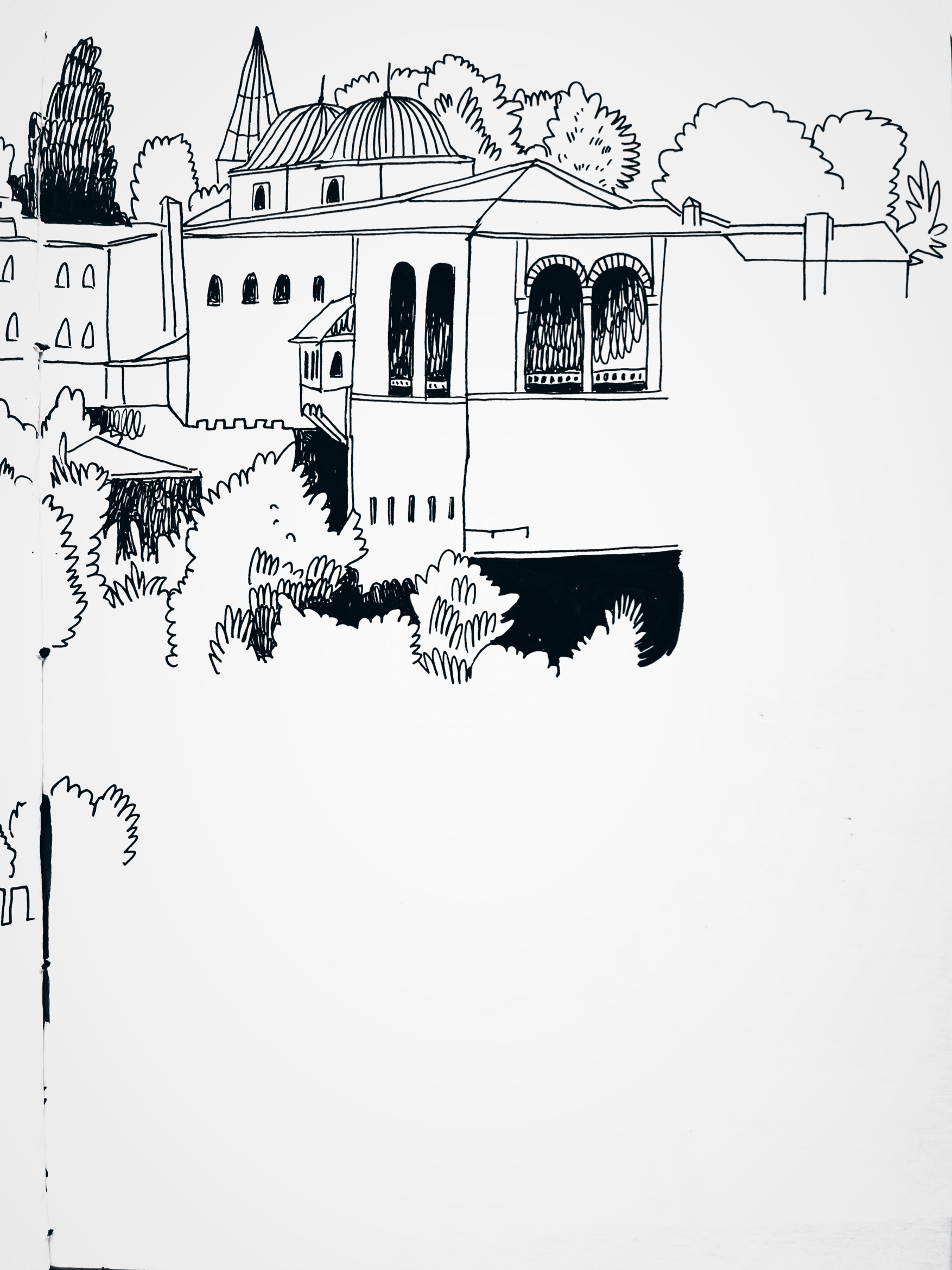 IMG_6455.PNG