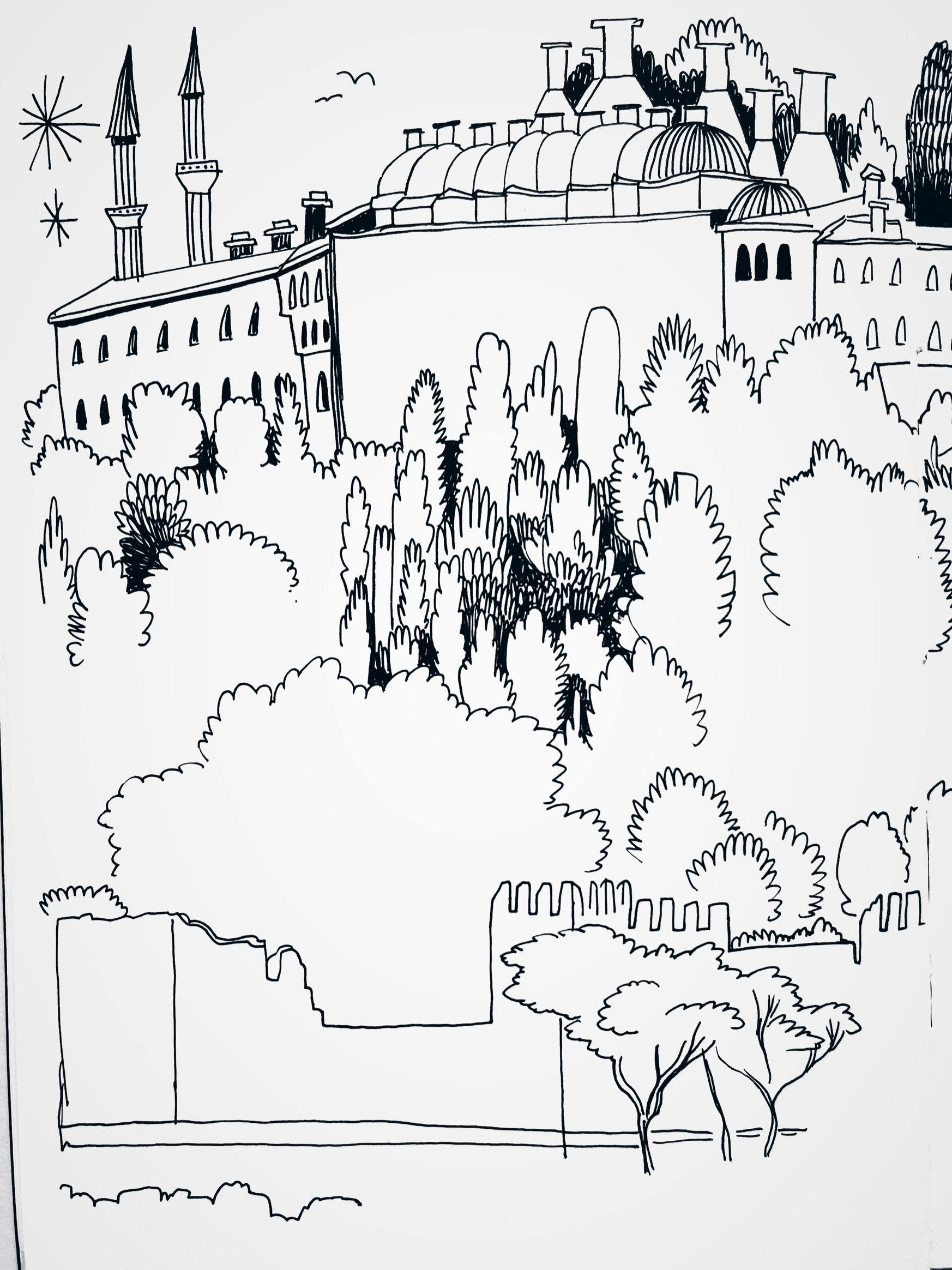 IMG_6456.PNG