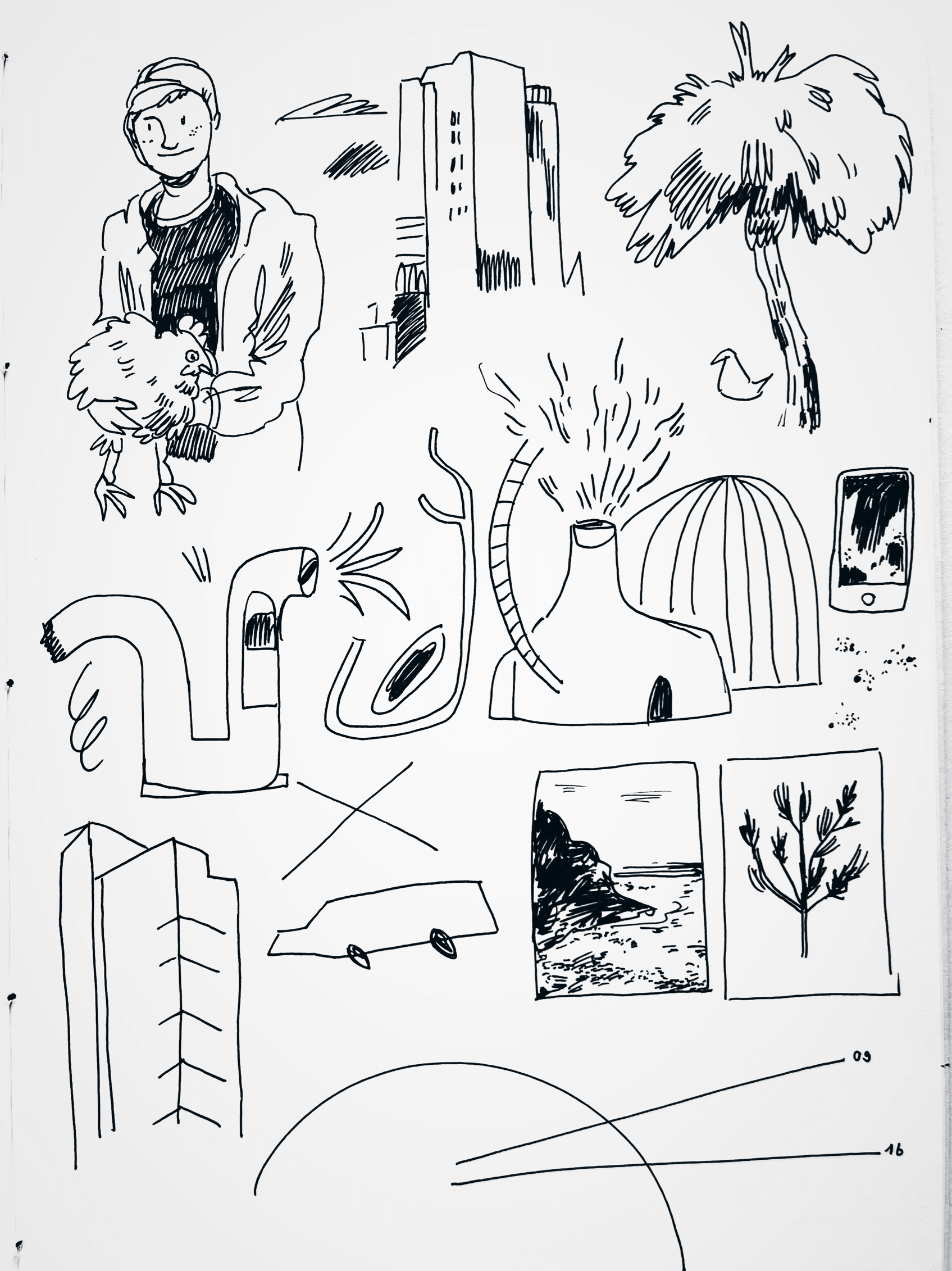 IMG_6477.PNG