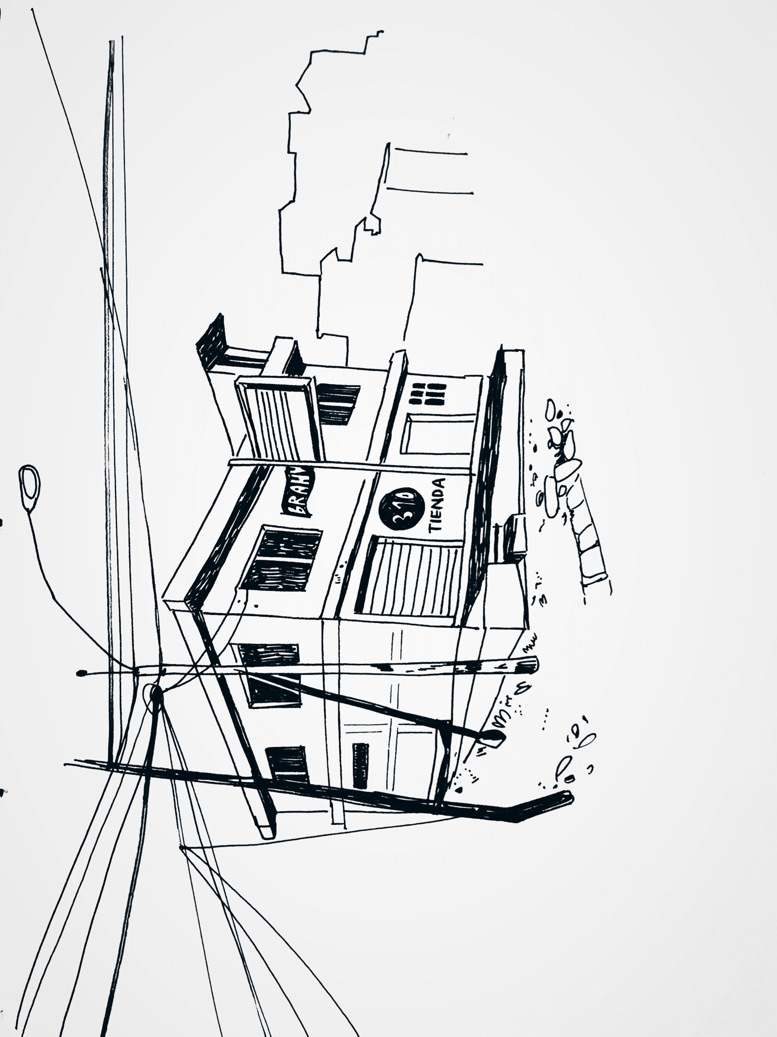 IMG_6481.PNG