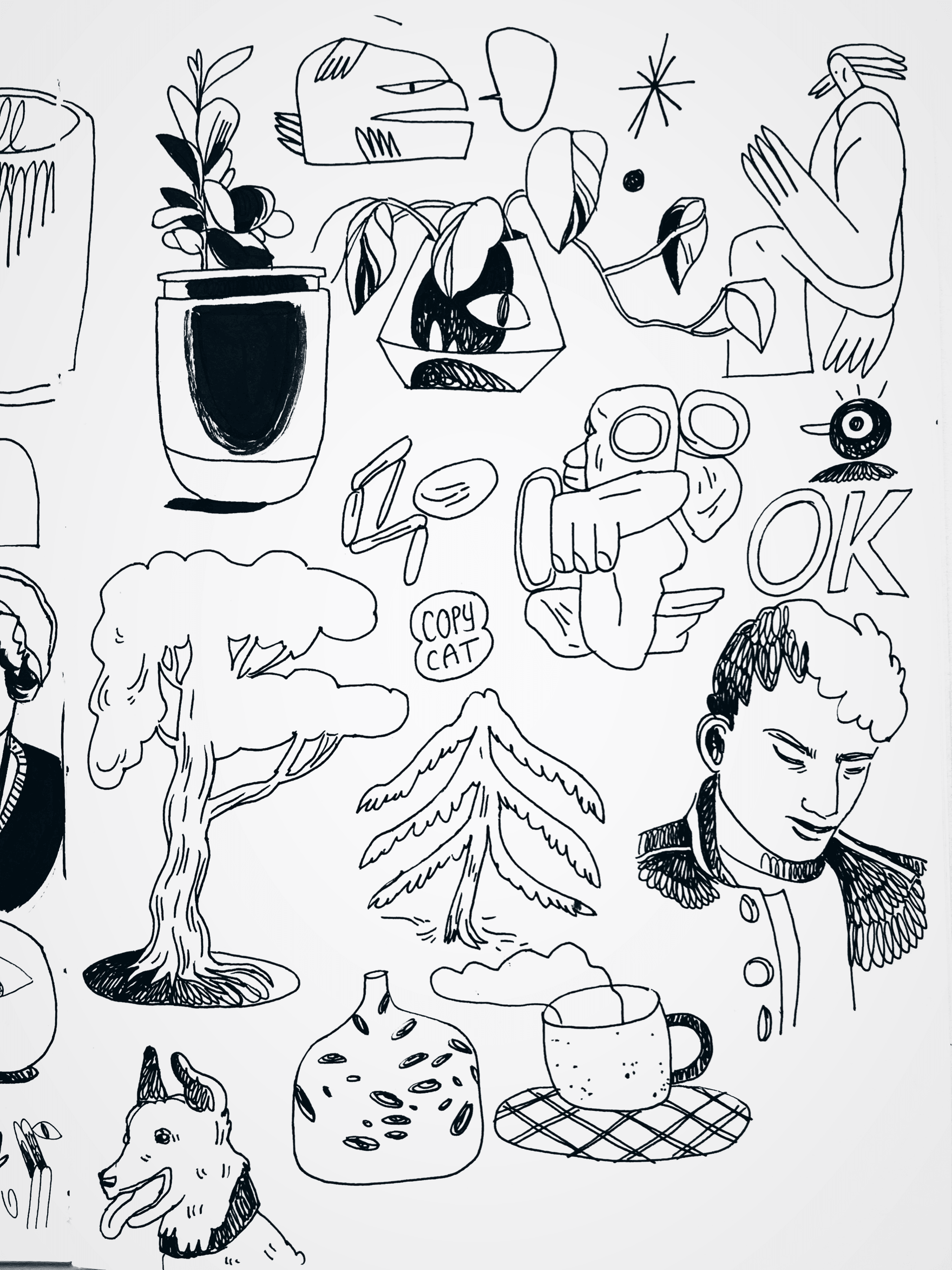 IMG_6484.PNG
