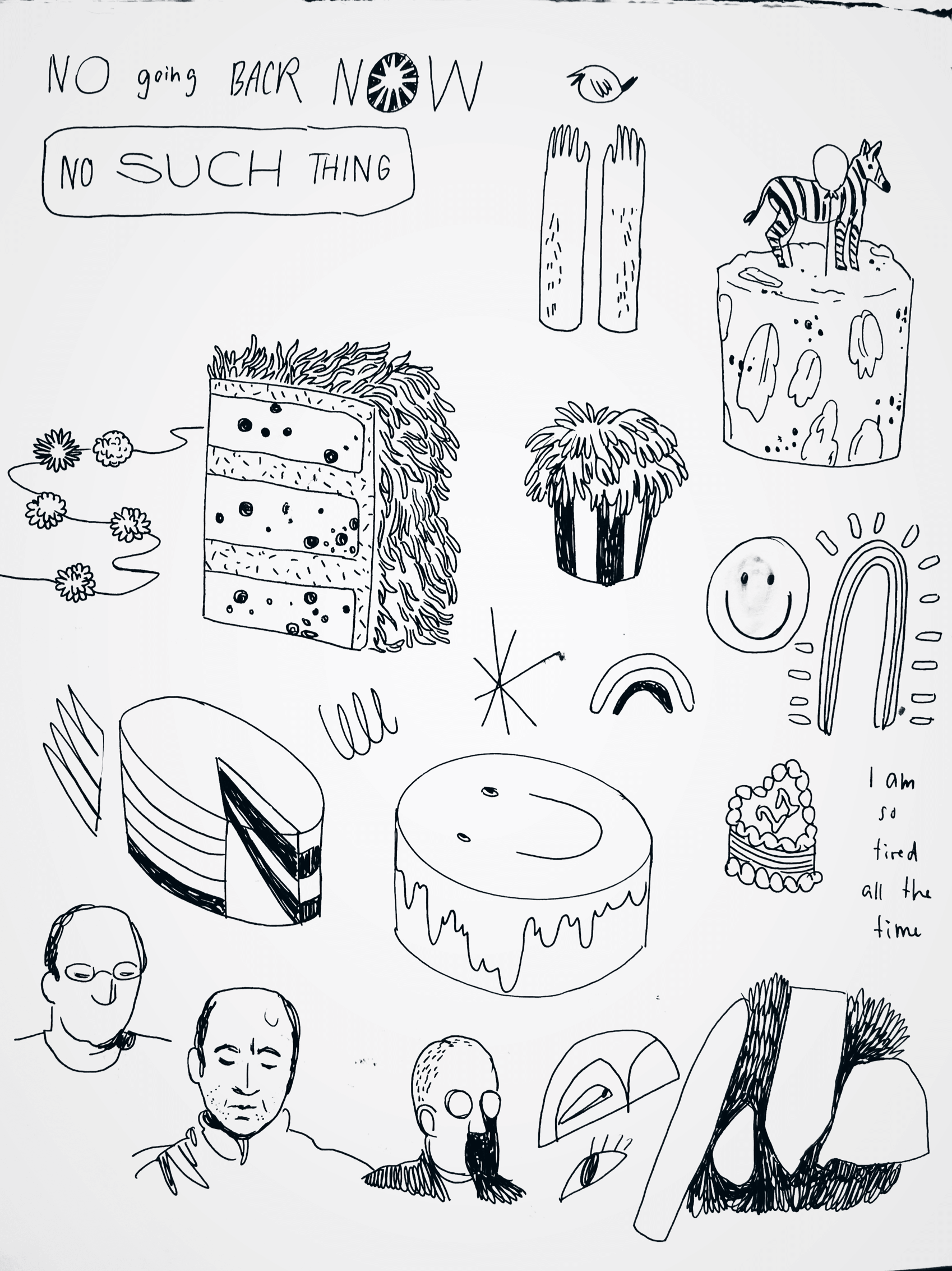 IMG_6488.PNG