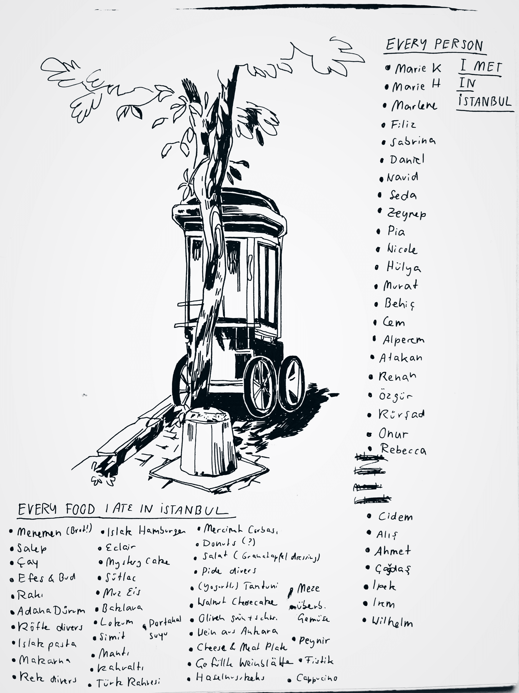 IMG_6492.PNG