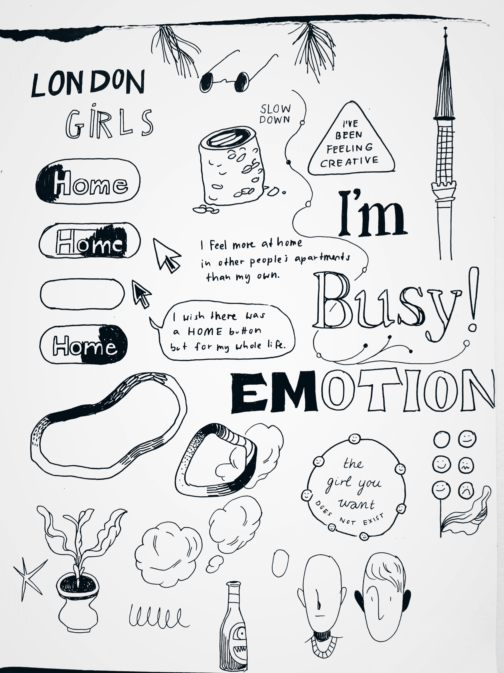 IMG_6513.PNG